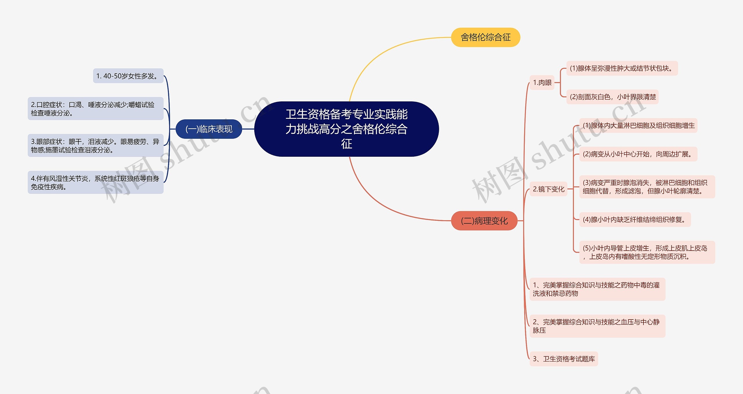 卫生资格备考专业实践能力挑战高分之舍格伦综合征思维导图