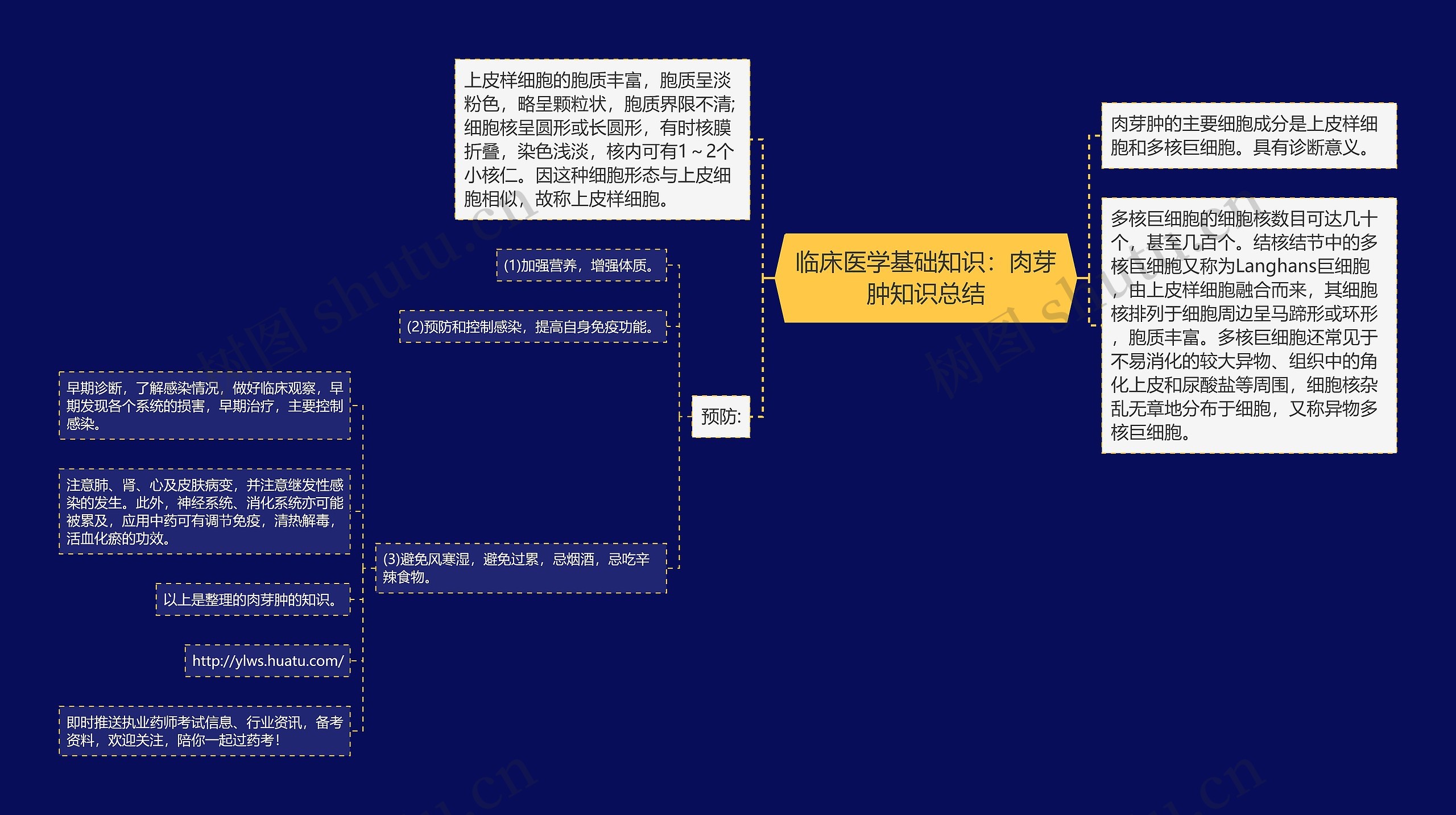 临床医学基础知识：肉芽肿知识总结思维导图