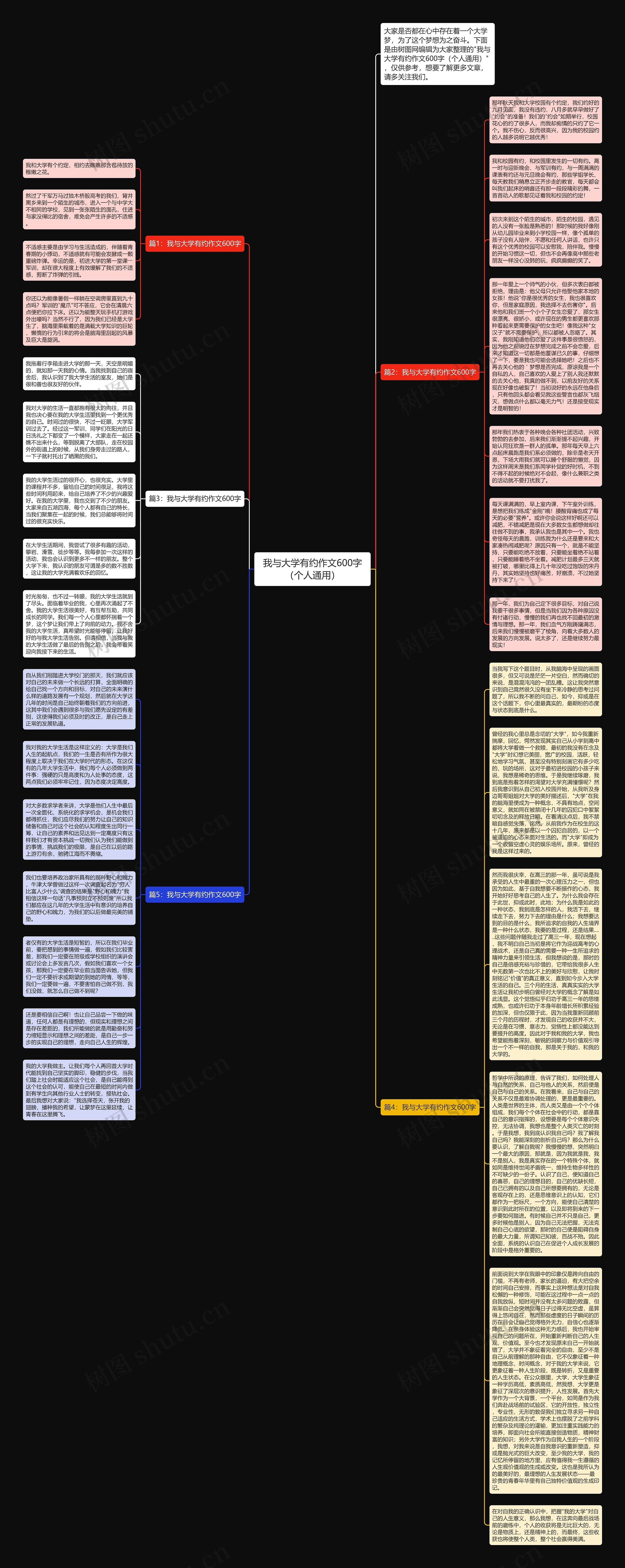 我与大学有约作文600字（个人通用）思维导图