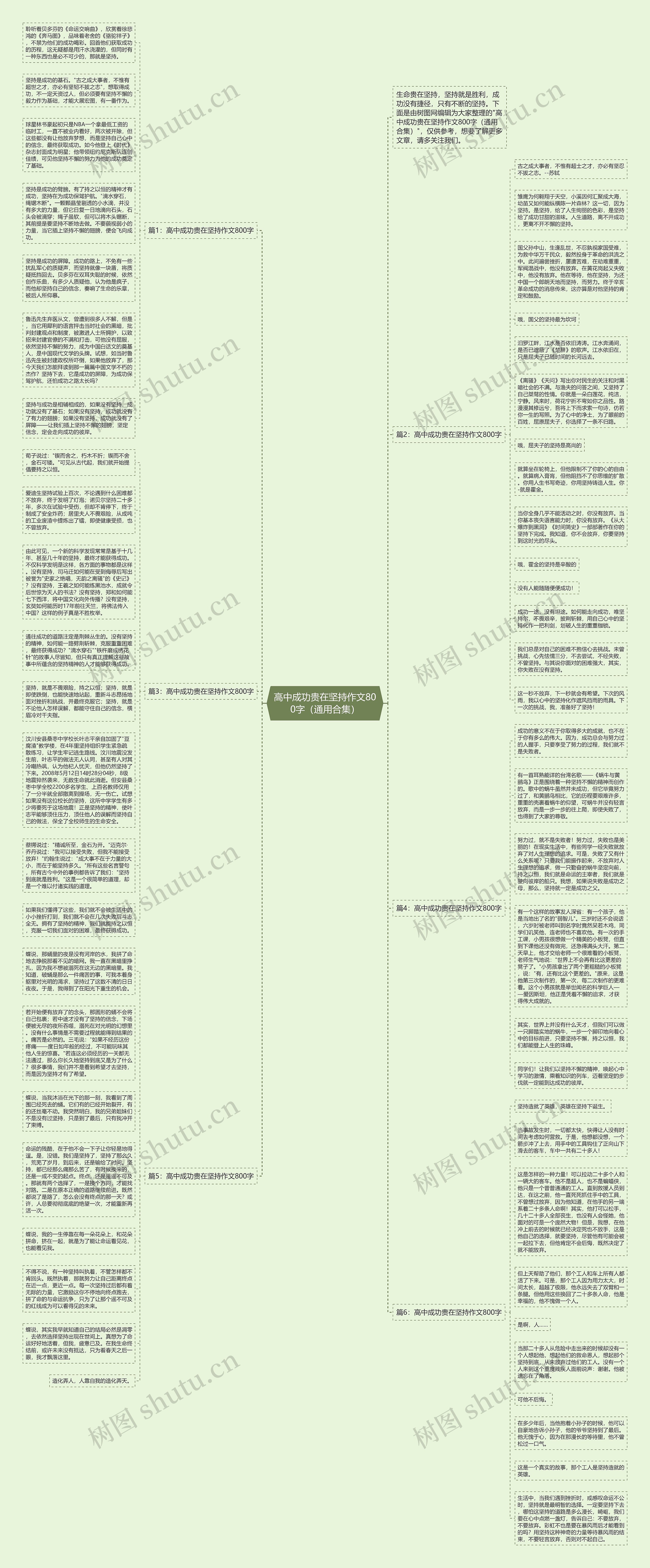高中成功贵在坚持作文800字（通用合集）思维导图