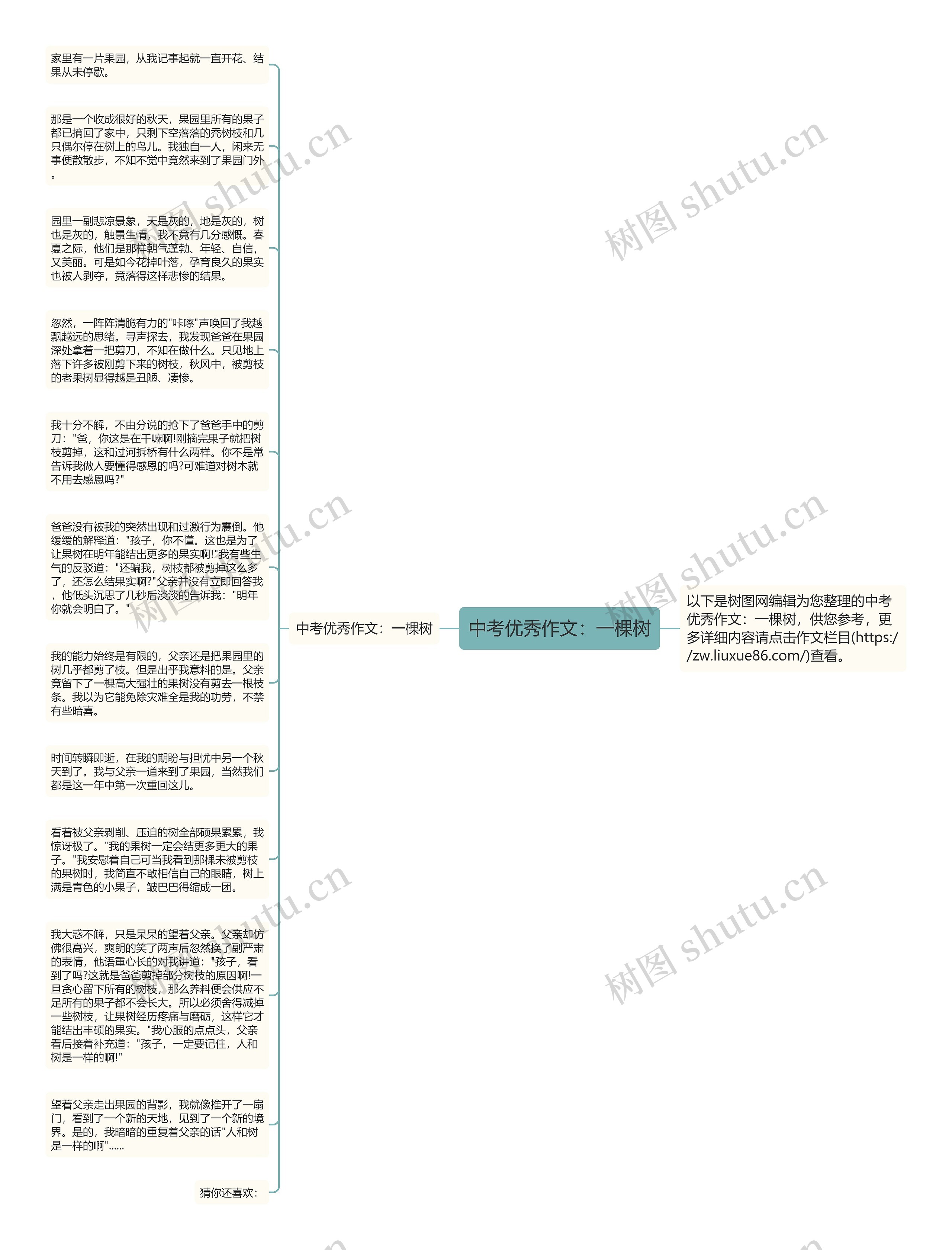 中考优秀作文：一棵树