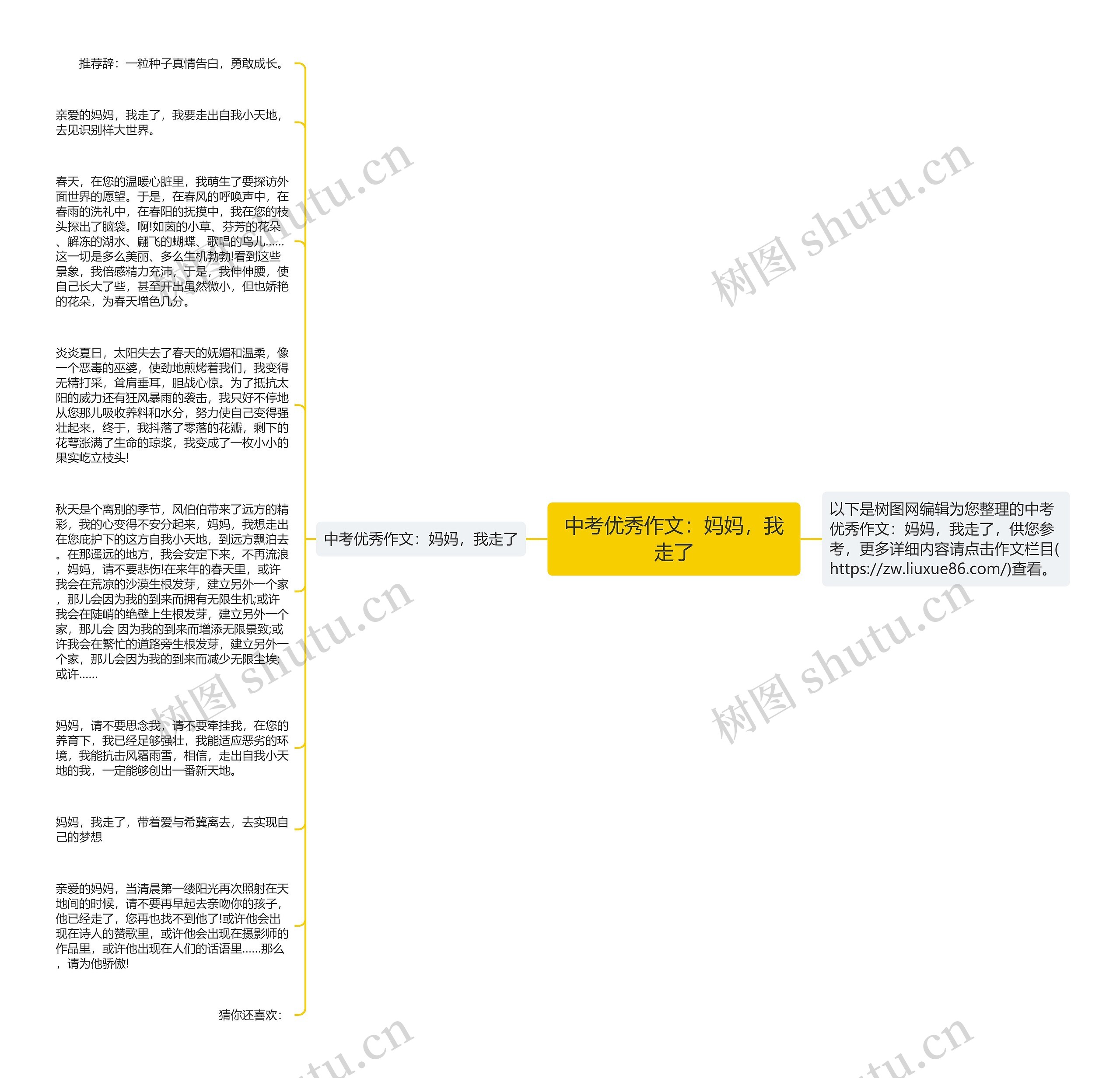 中考优秀作文：妈妈，我走了思维导图