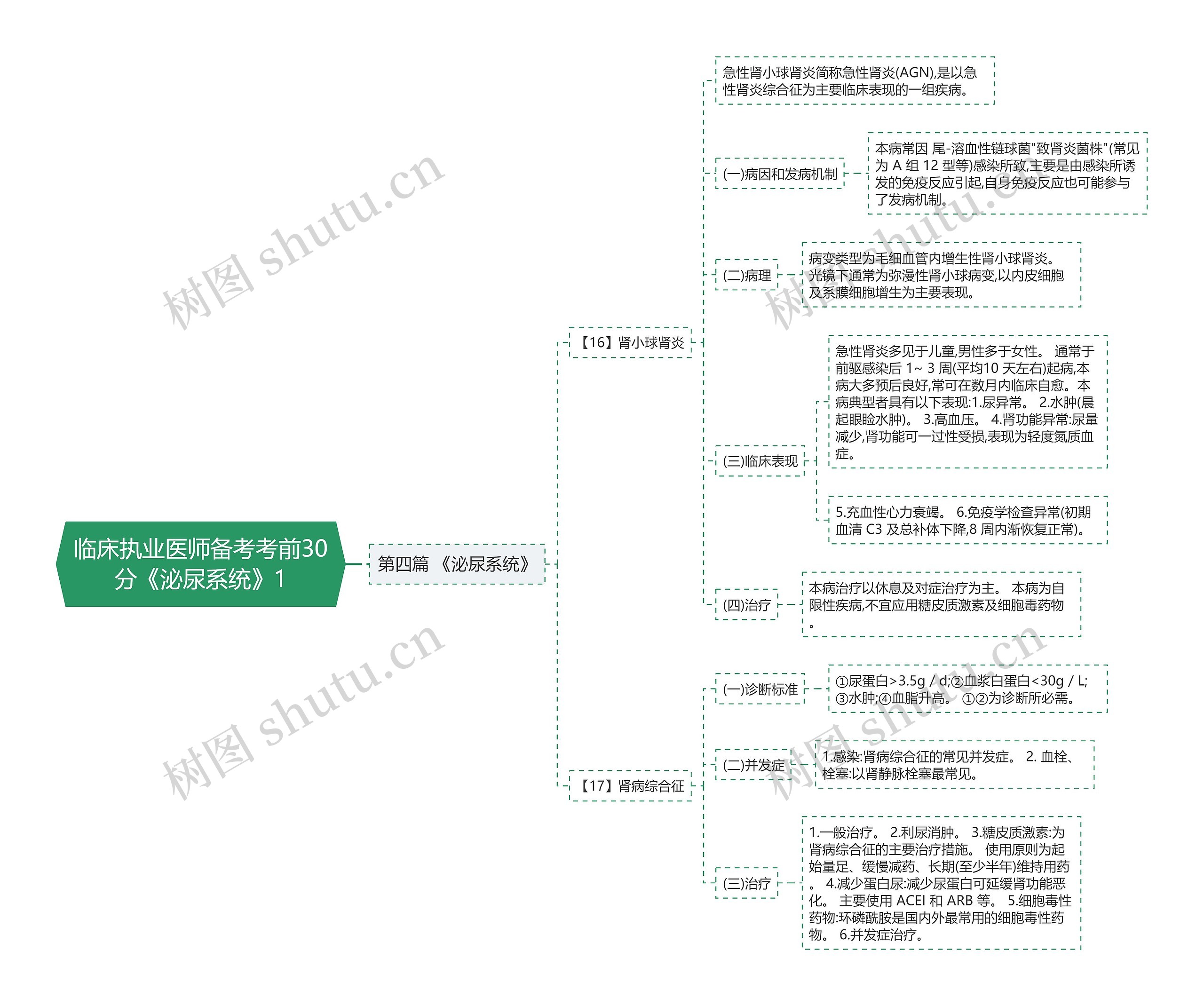 临床执业医师备考考前30分《泌尿系统》1