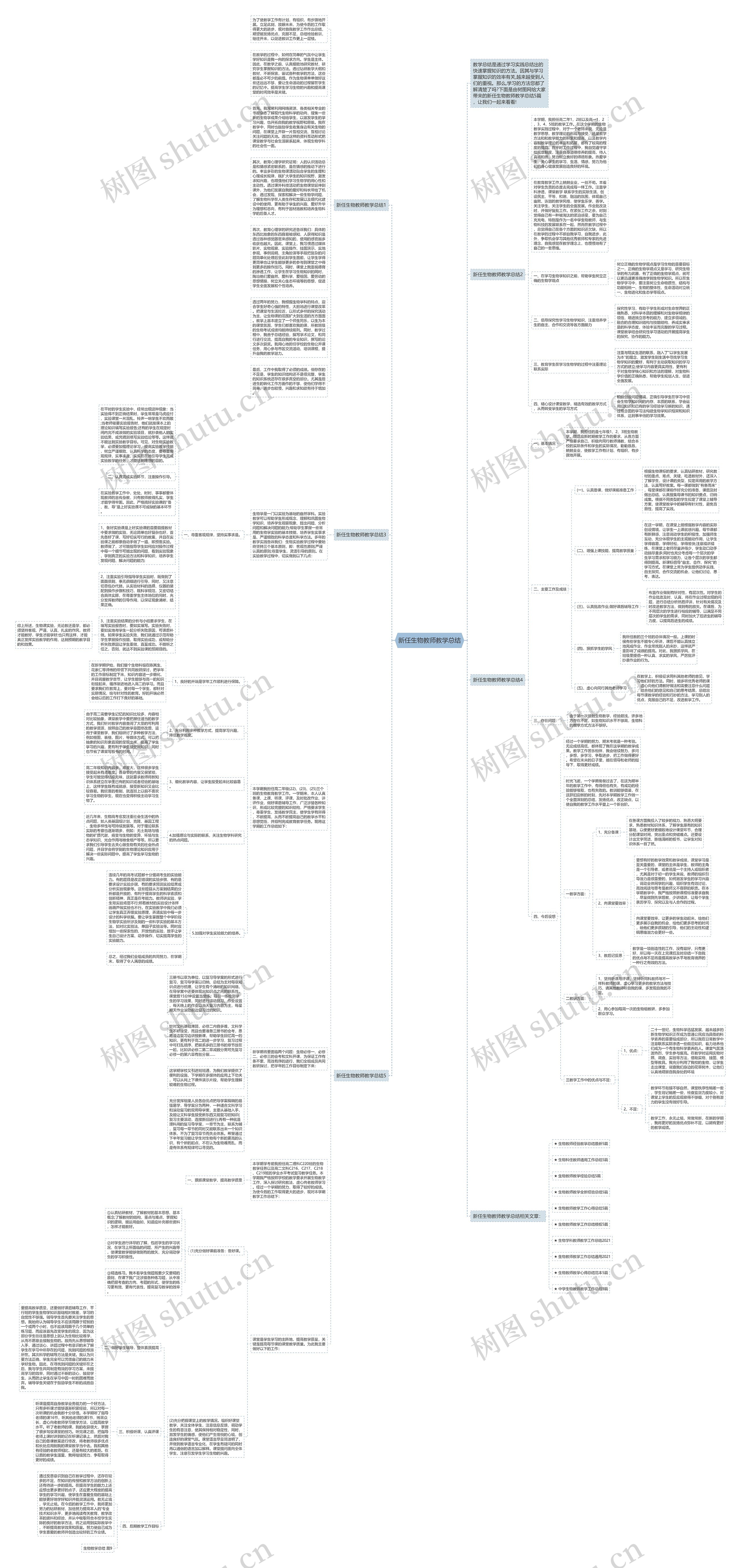 新任生物教师教学总结思维导图