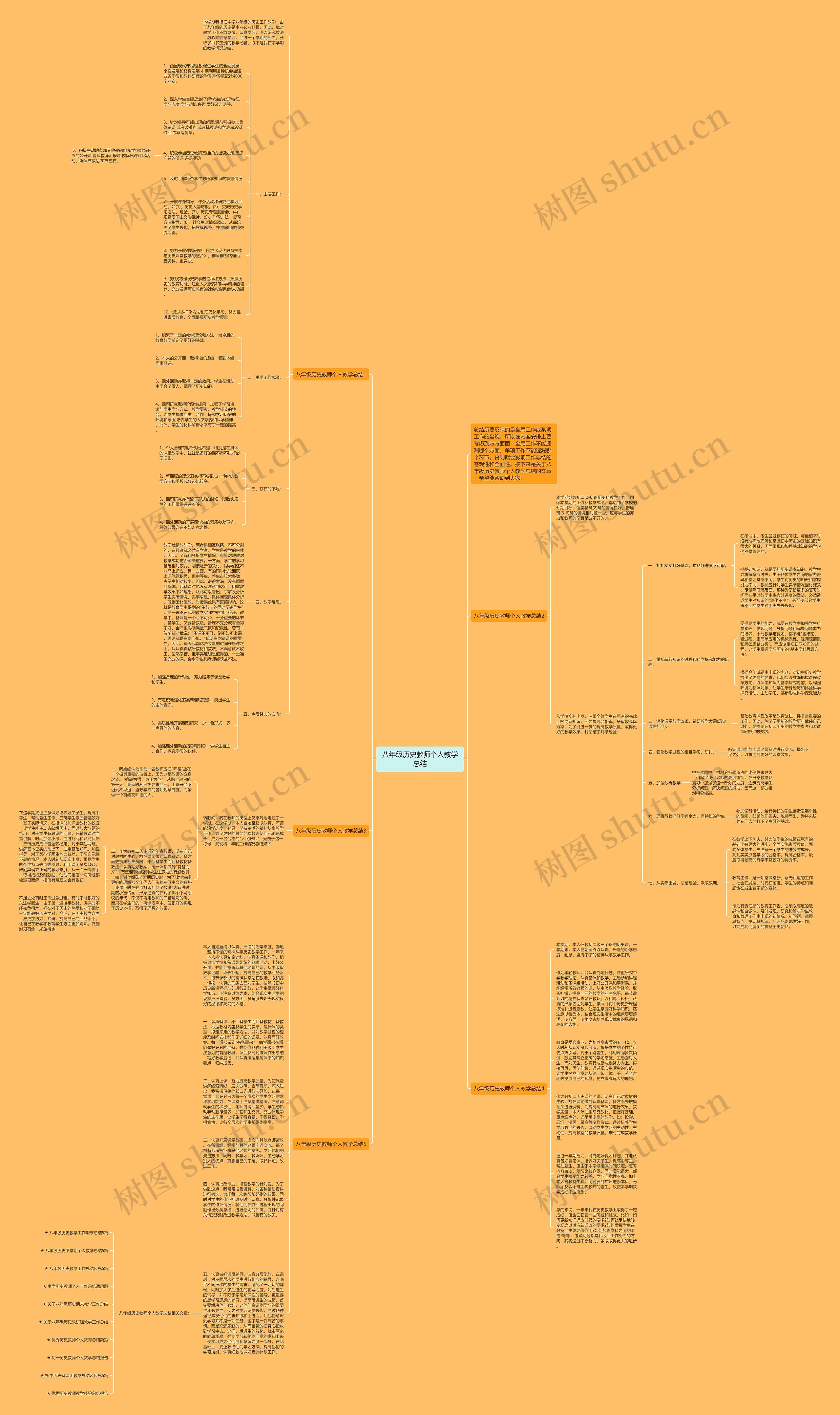 八年级历史教师个人教学总结思维导图