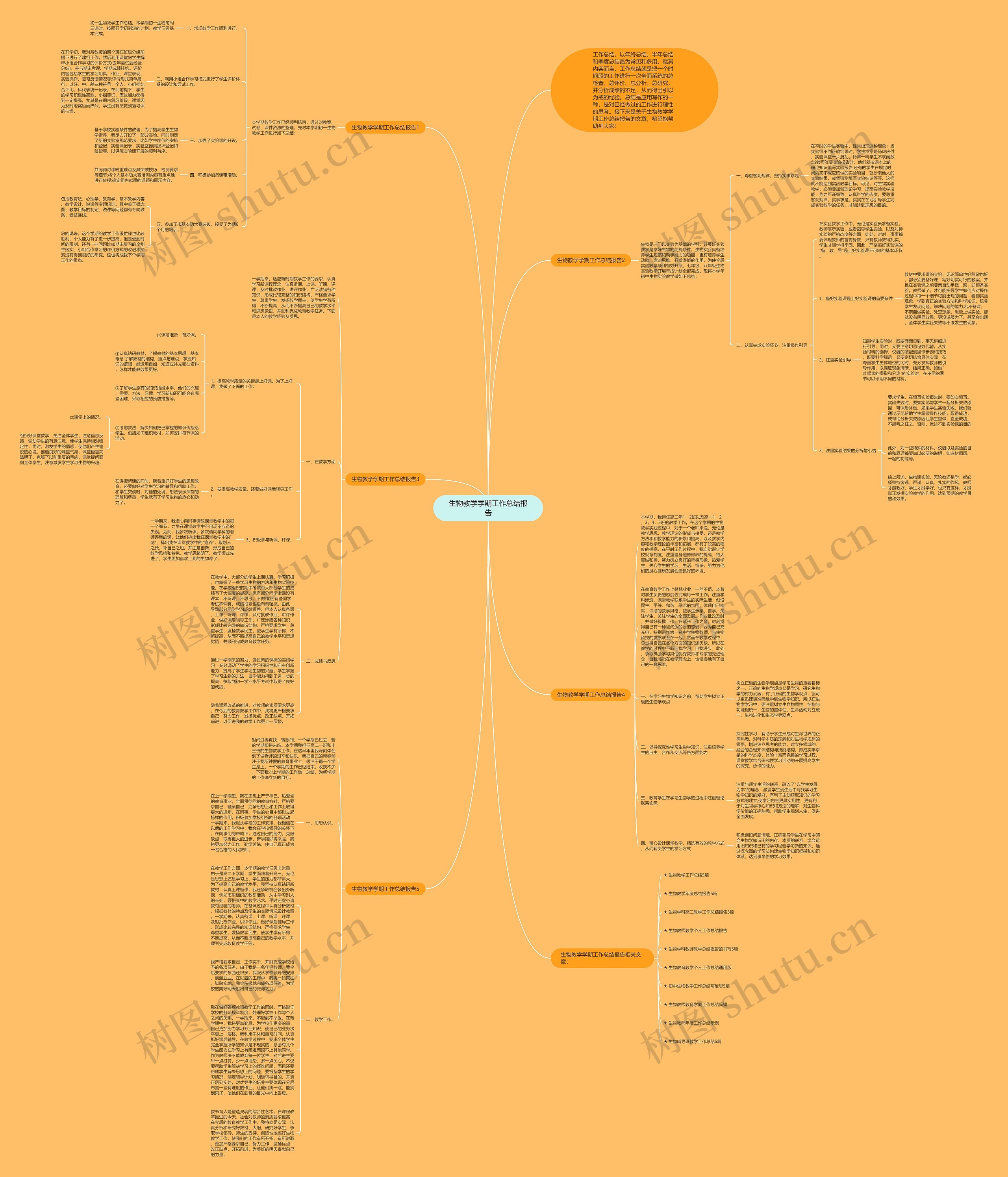 生物教学学期工作总结报告思维导图