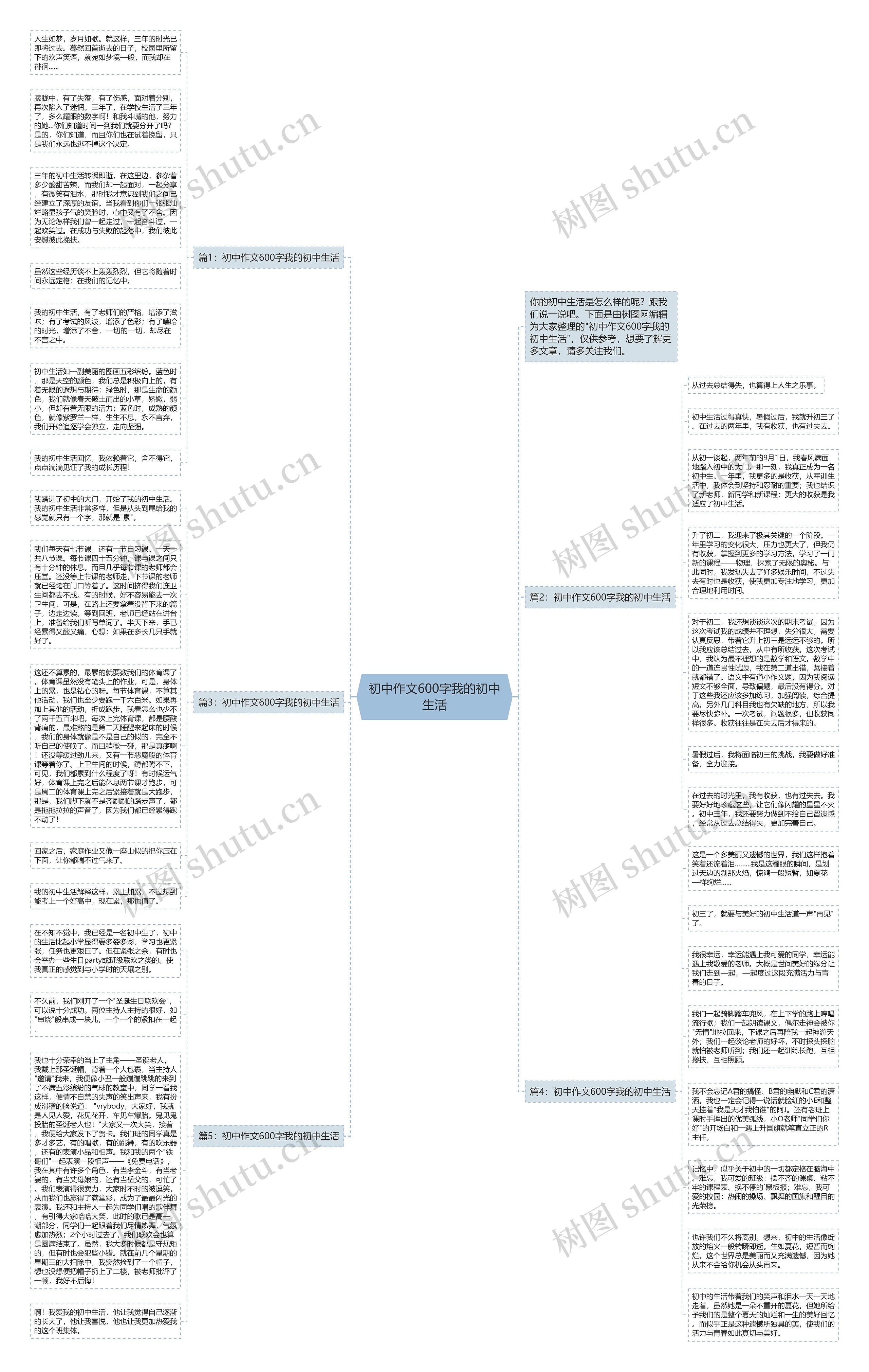 初中作文600字我的初中生活思维导图