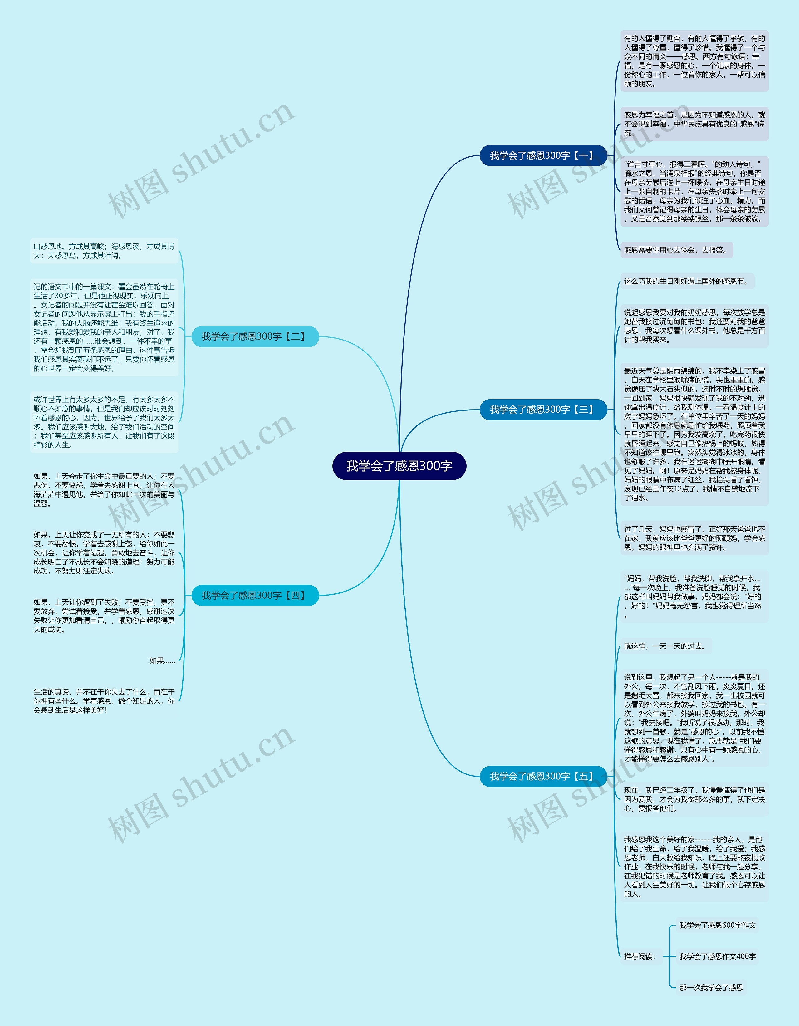 我学会了感恩300字思维导图