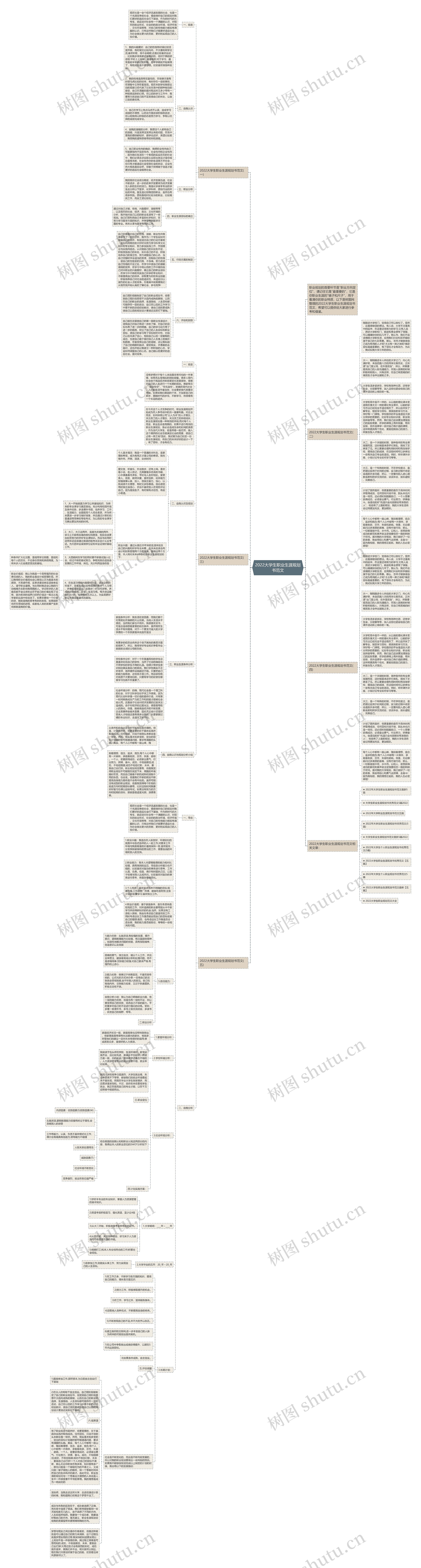 2022大学生职业生涯规划书范文思维导图