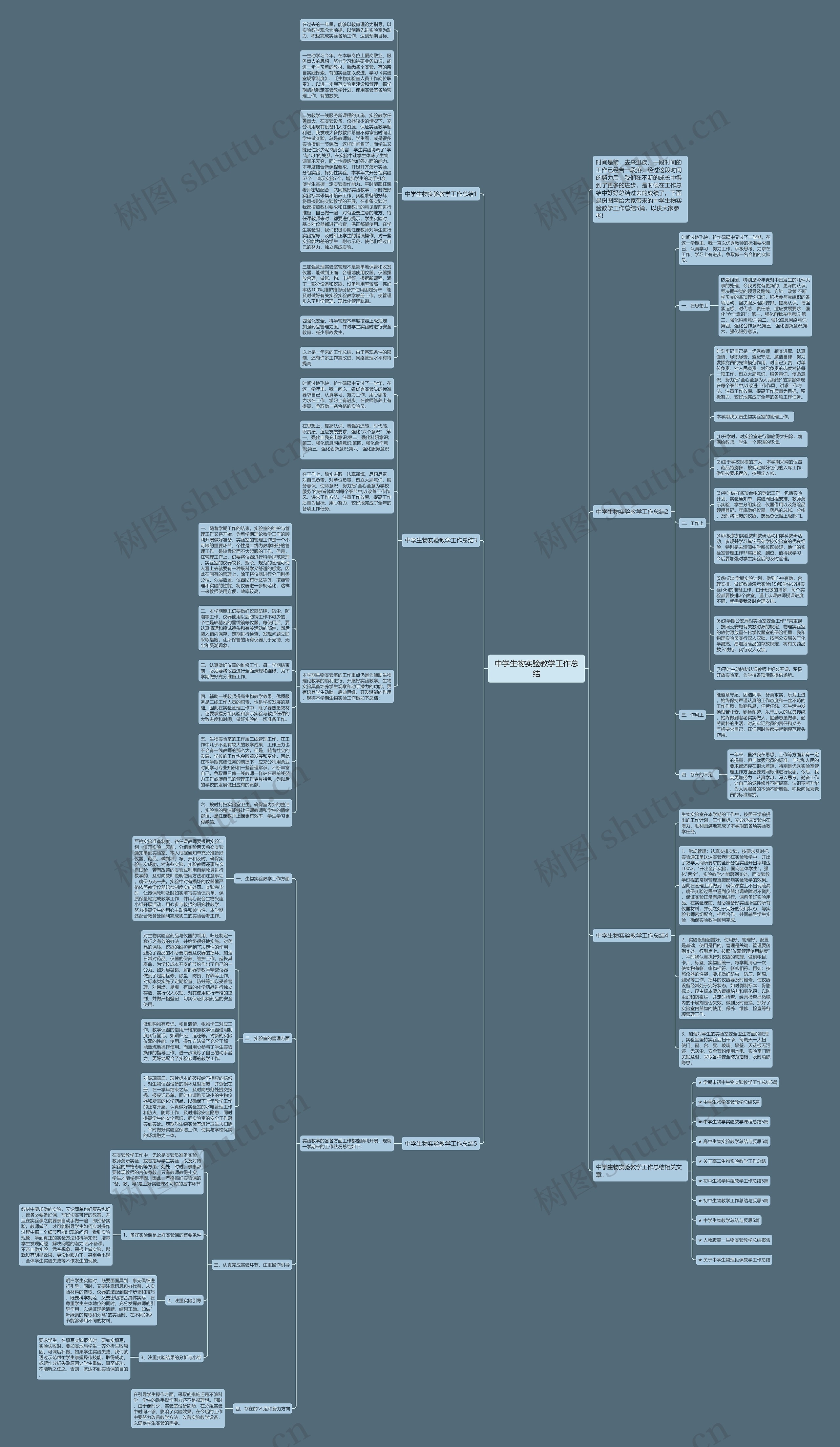 中学生物实验教学工作总结思维导图