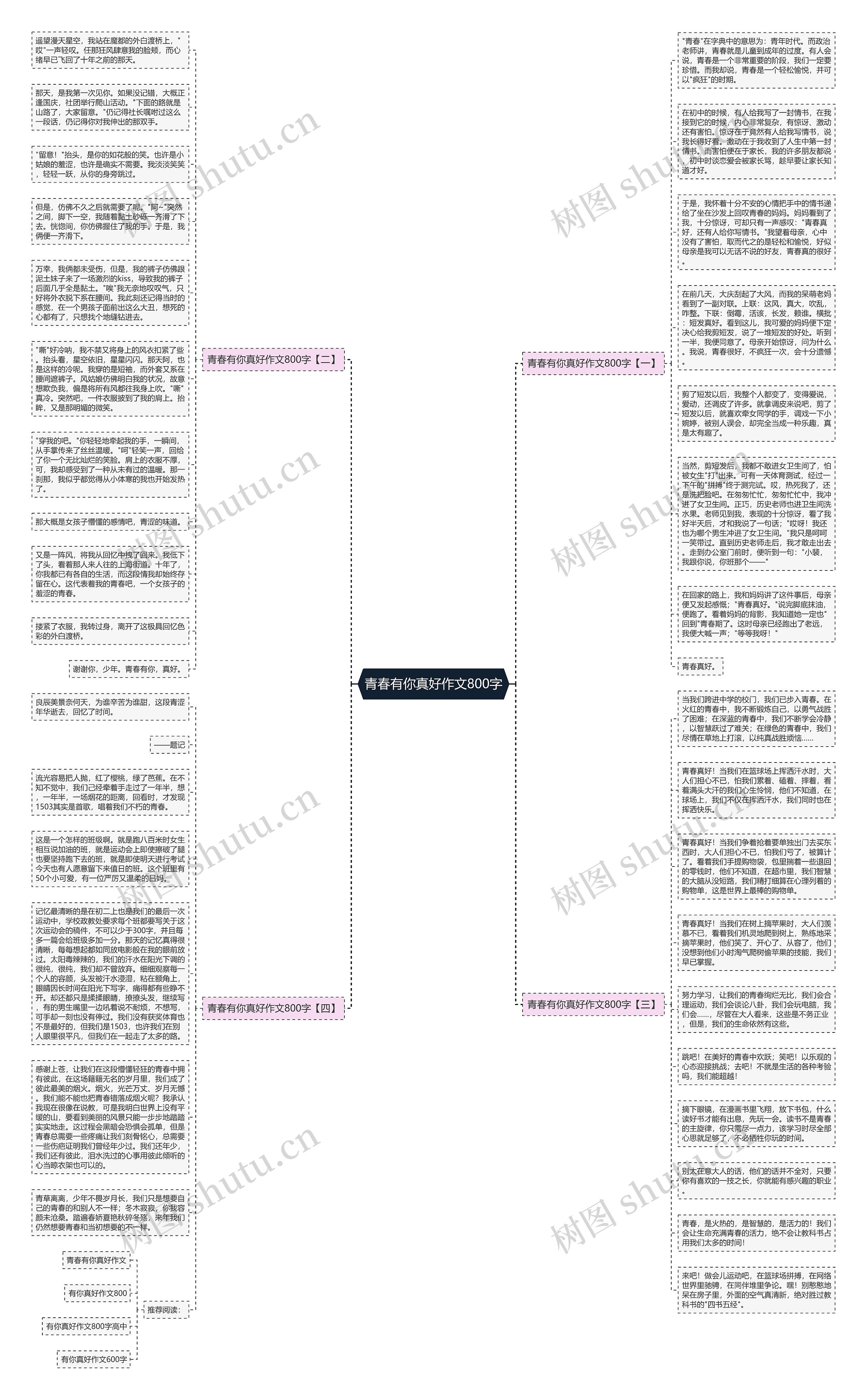 青春有你真好作文800字思维导图