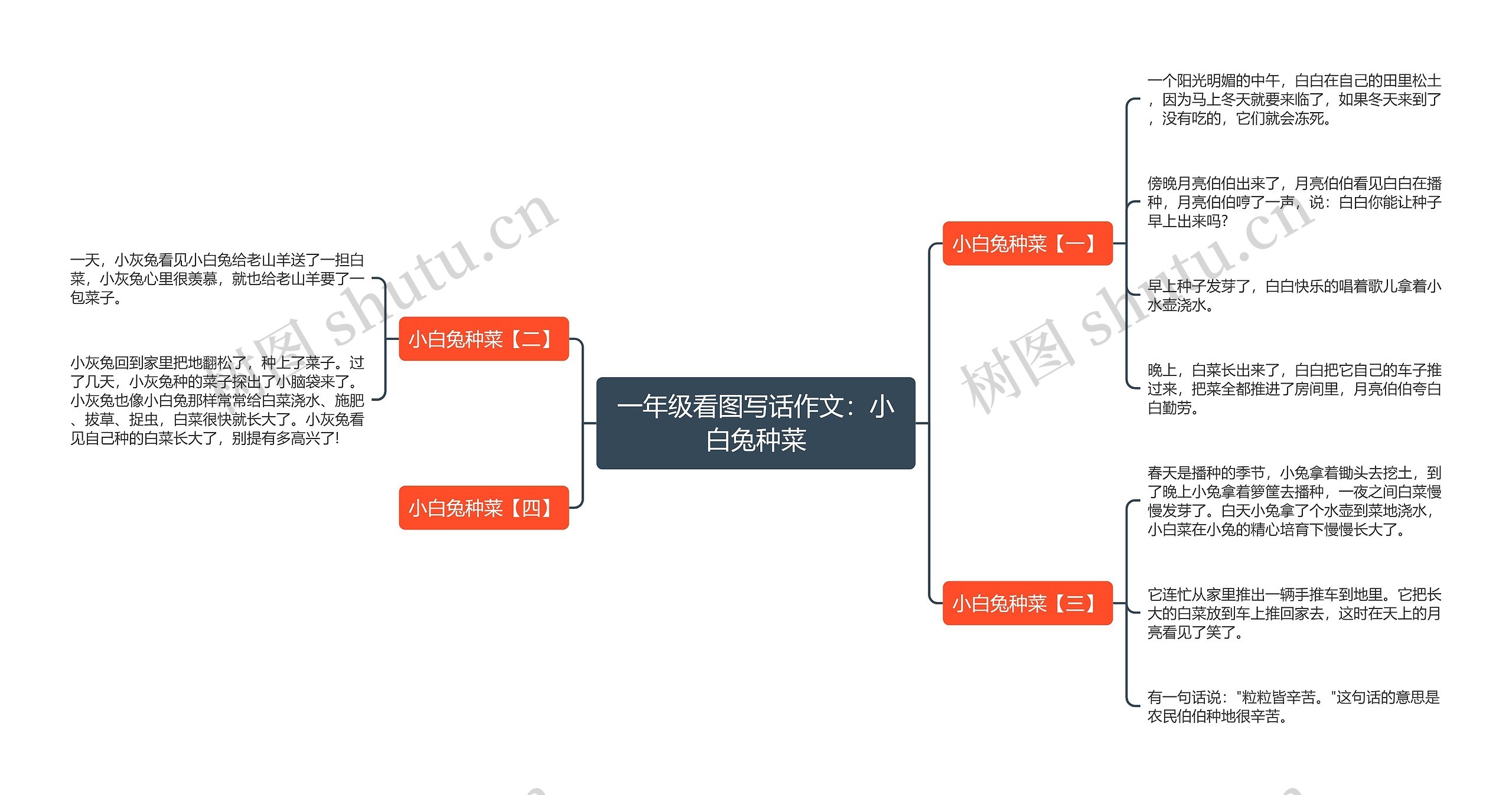 一年级看图写话作文：小白兔种菜