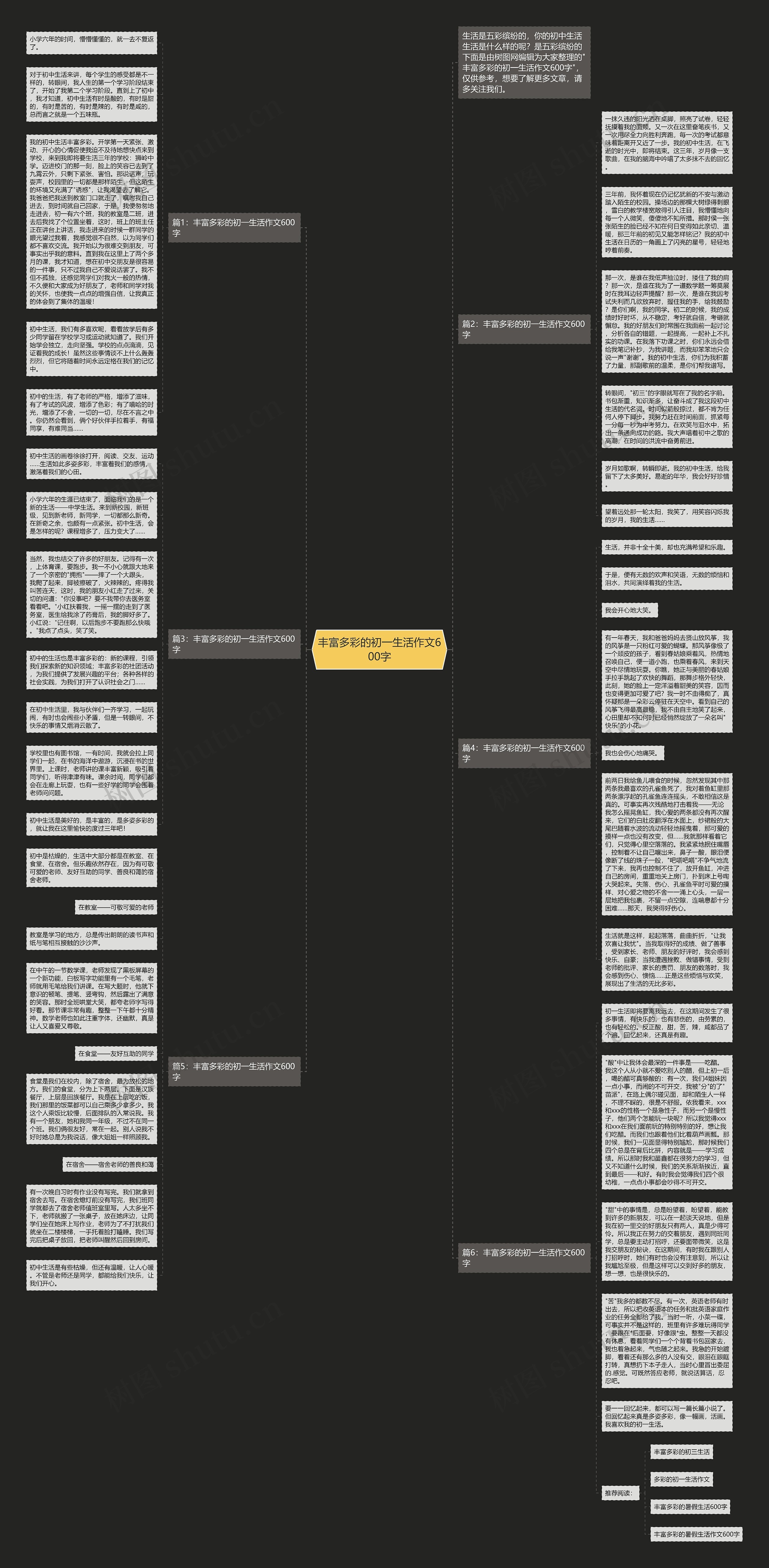 丰富多彩的初一生活作文600字思维导图