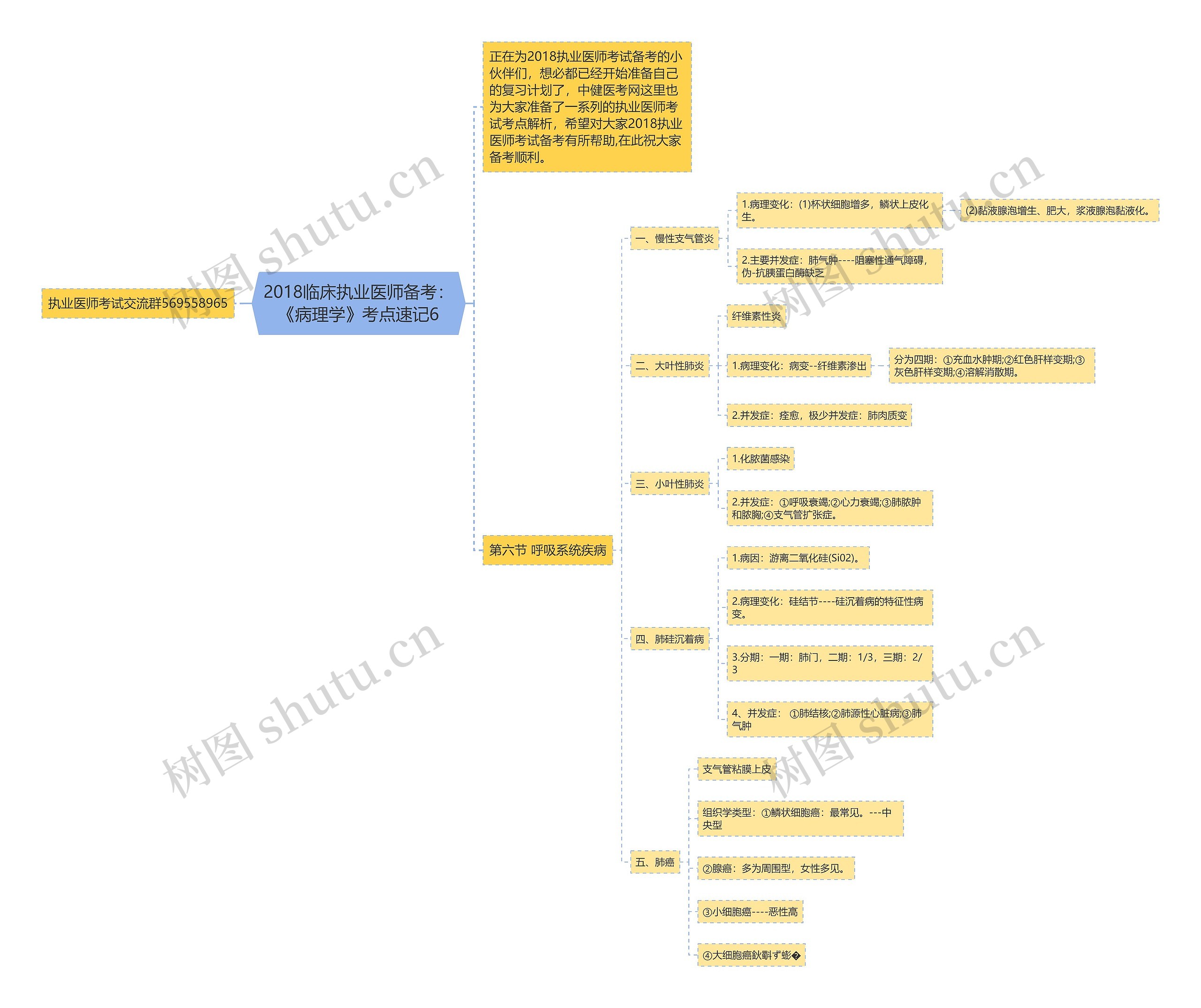 2018临床执业医师备考：《病理学》考点速记6思维导图
