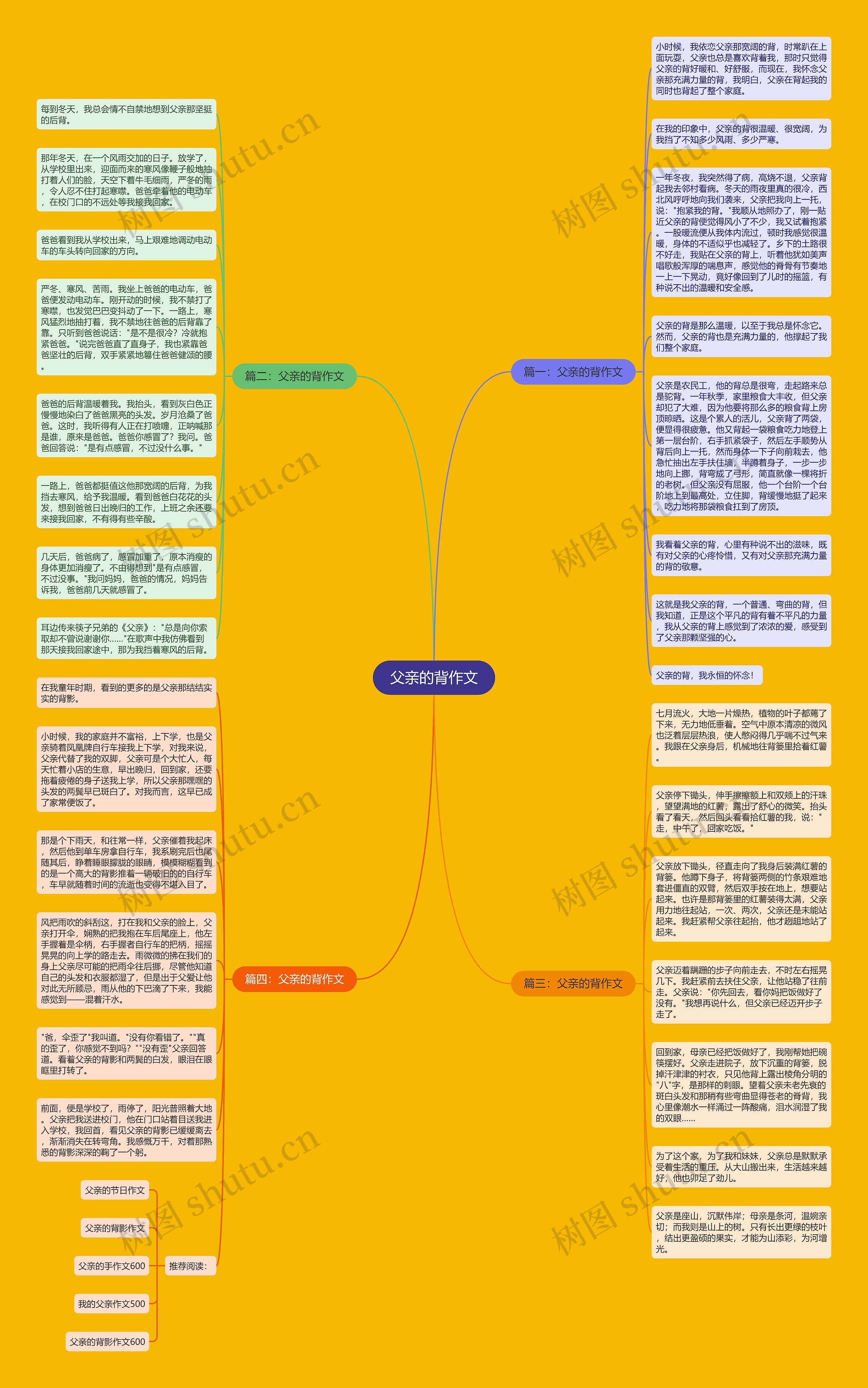 父亲的背作文思维导图