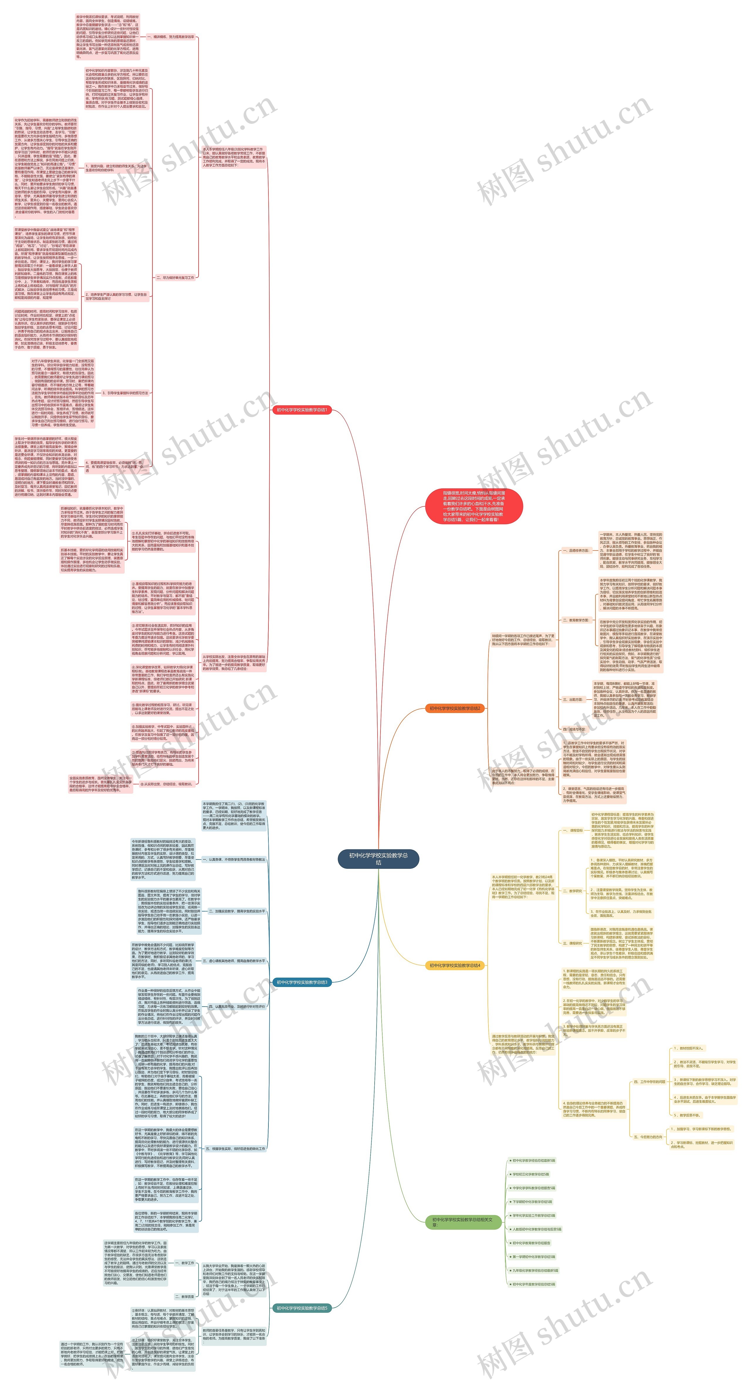初中化学学校实验教学总结思维导图