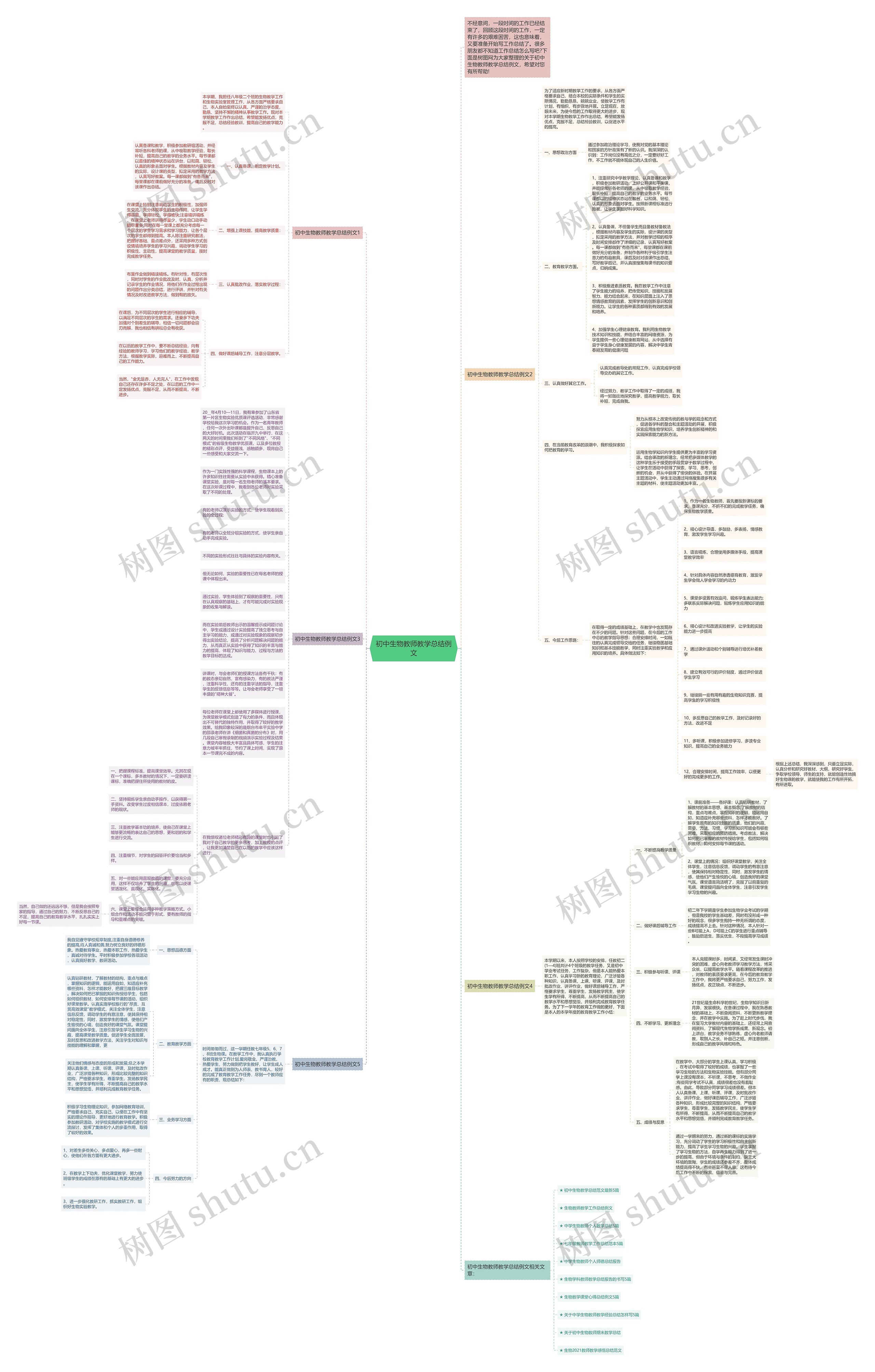 初中生物教师教学总结例文思维导图