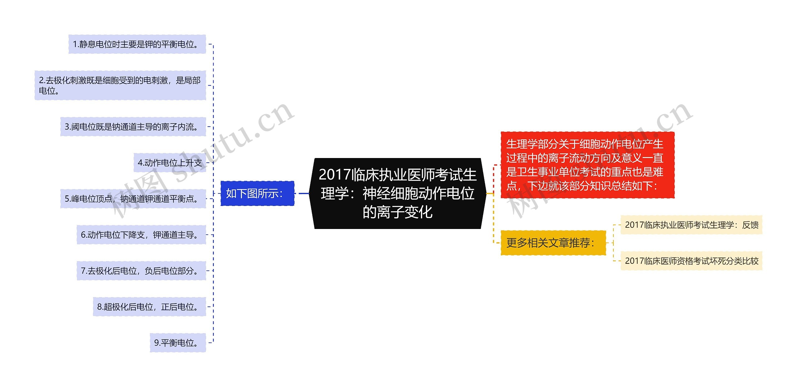 2017临床执业医师考试生理学：神经细胞动作电位的离子变化思维导图