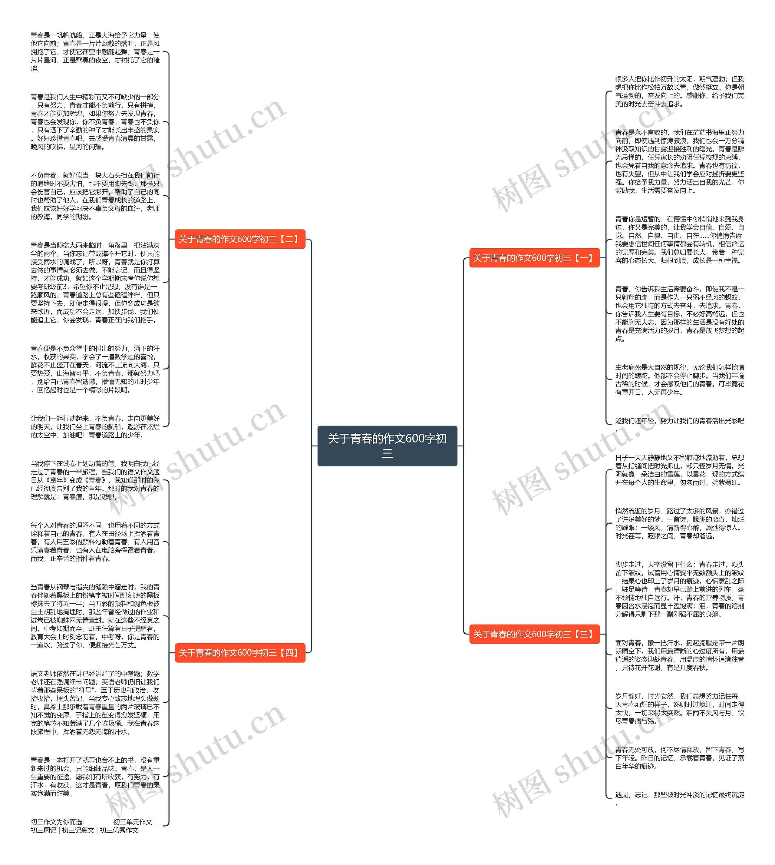 关于青春的作文600字初三思维导图