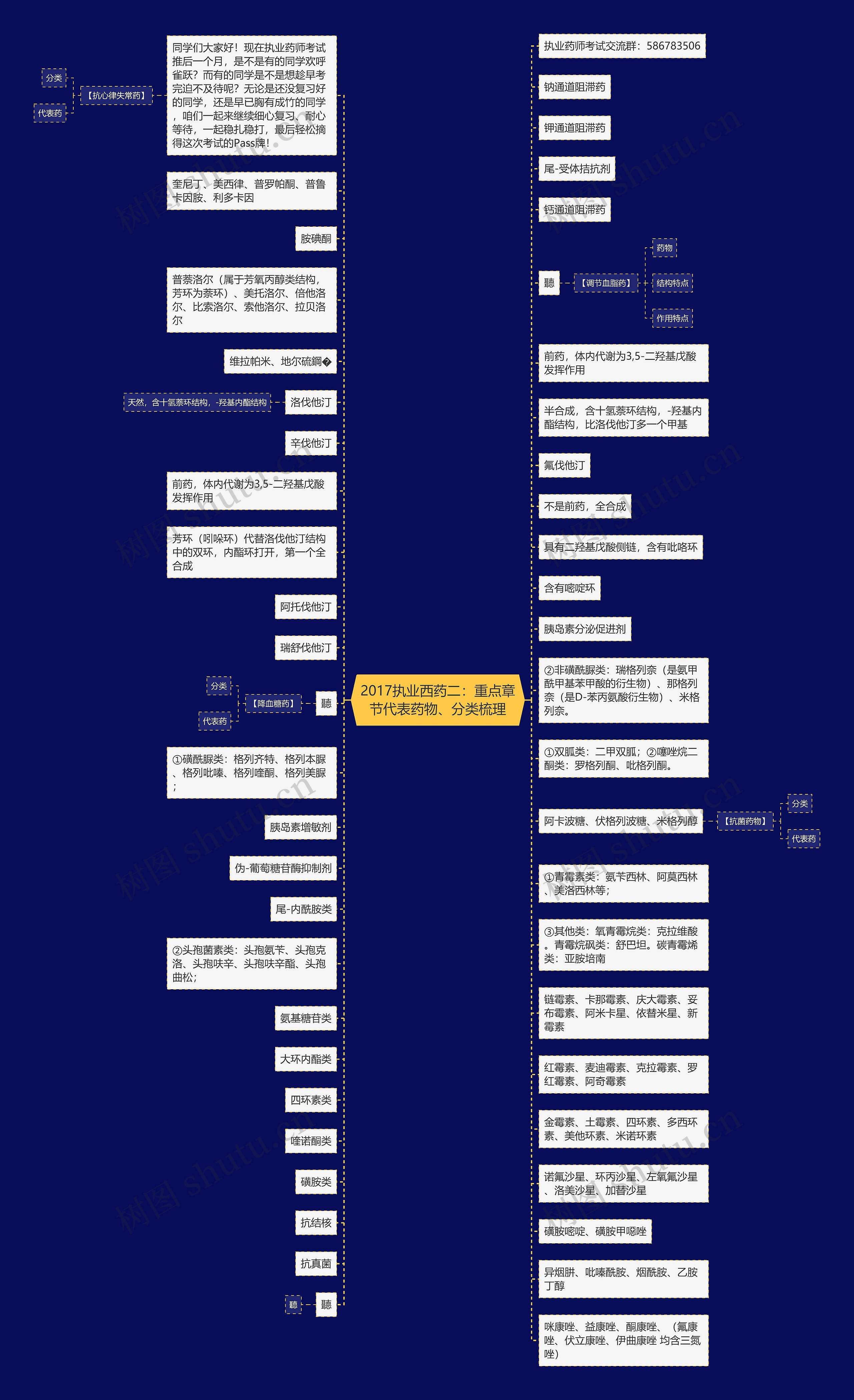 2017执业西药二：重点章节代表药物、分类梳理思维导图