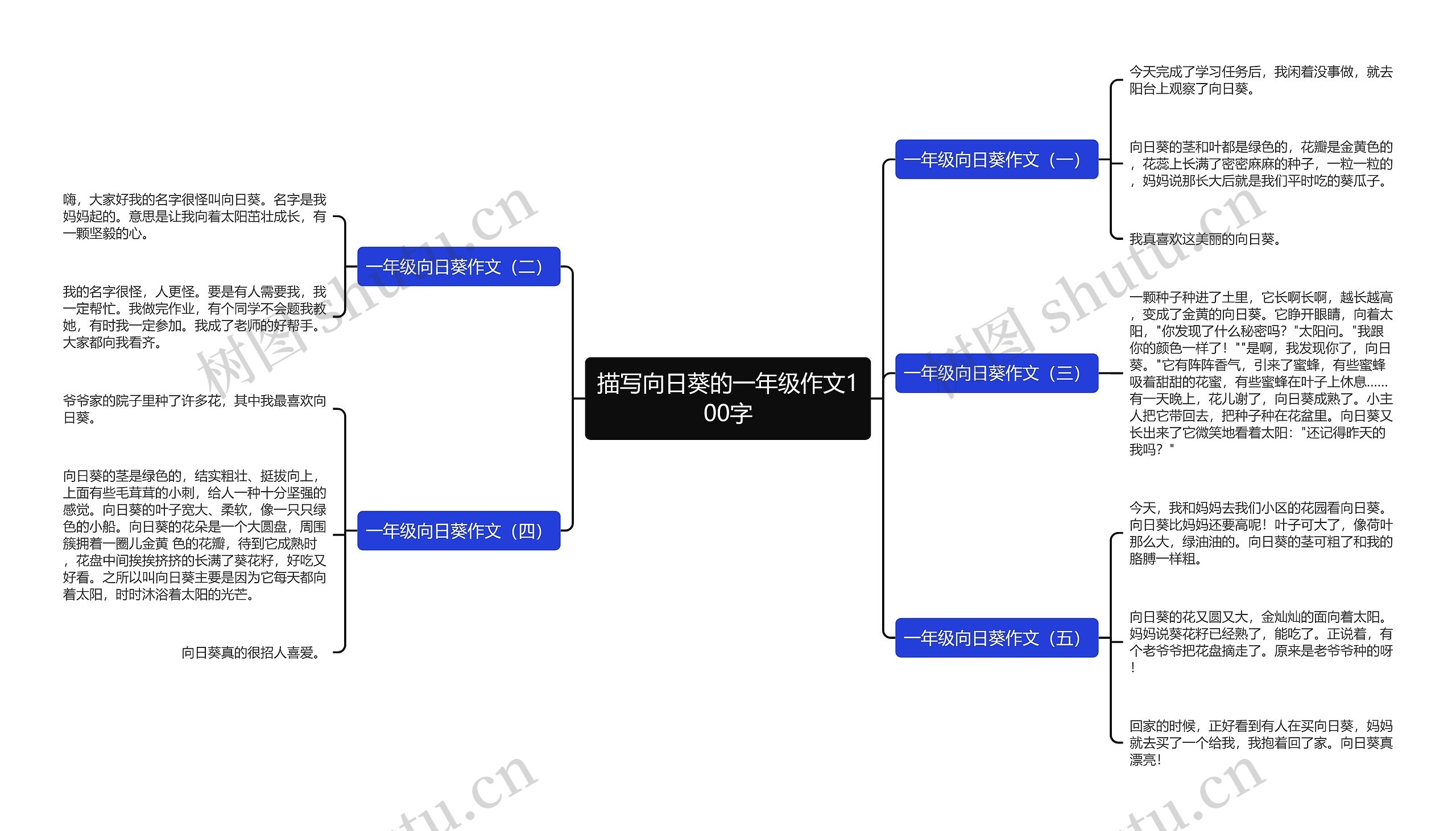 描写向日葵的一年级作文100字思维导图