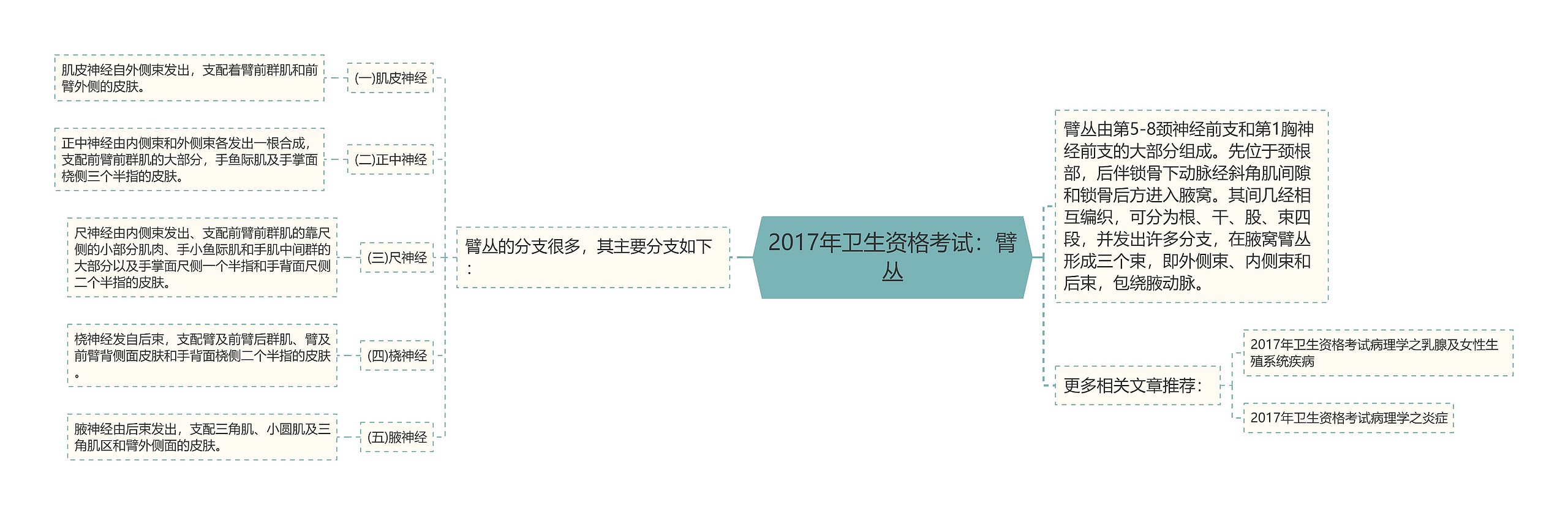 2017年卫生资格考试：臂丛思维导图