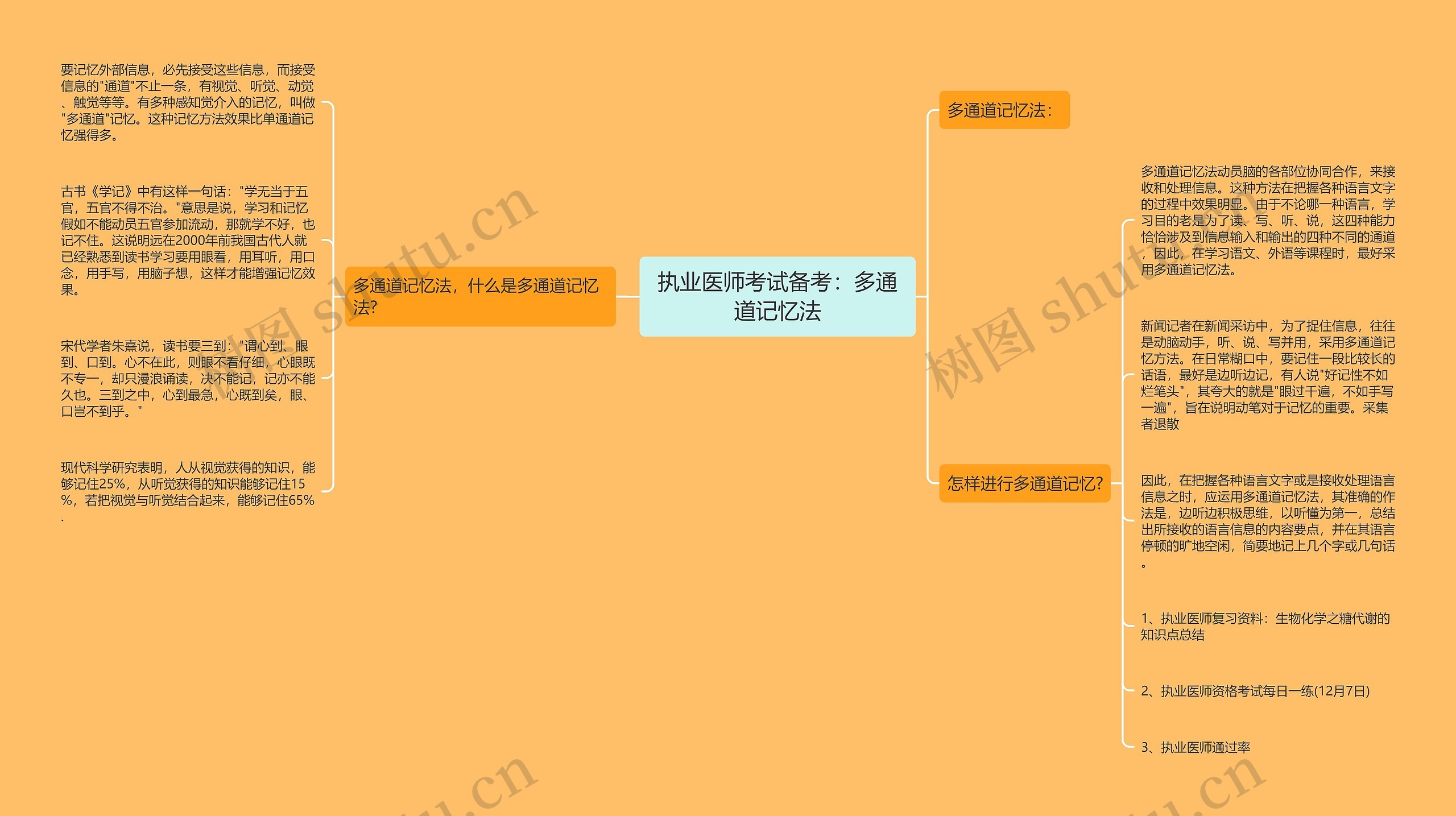 执业医师考试备考：多通道记忆法思维导图