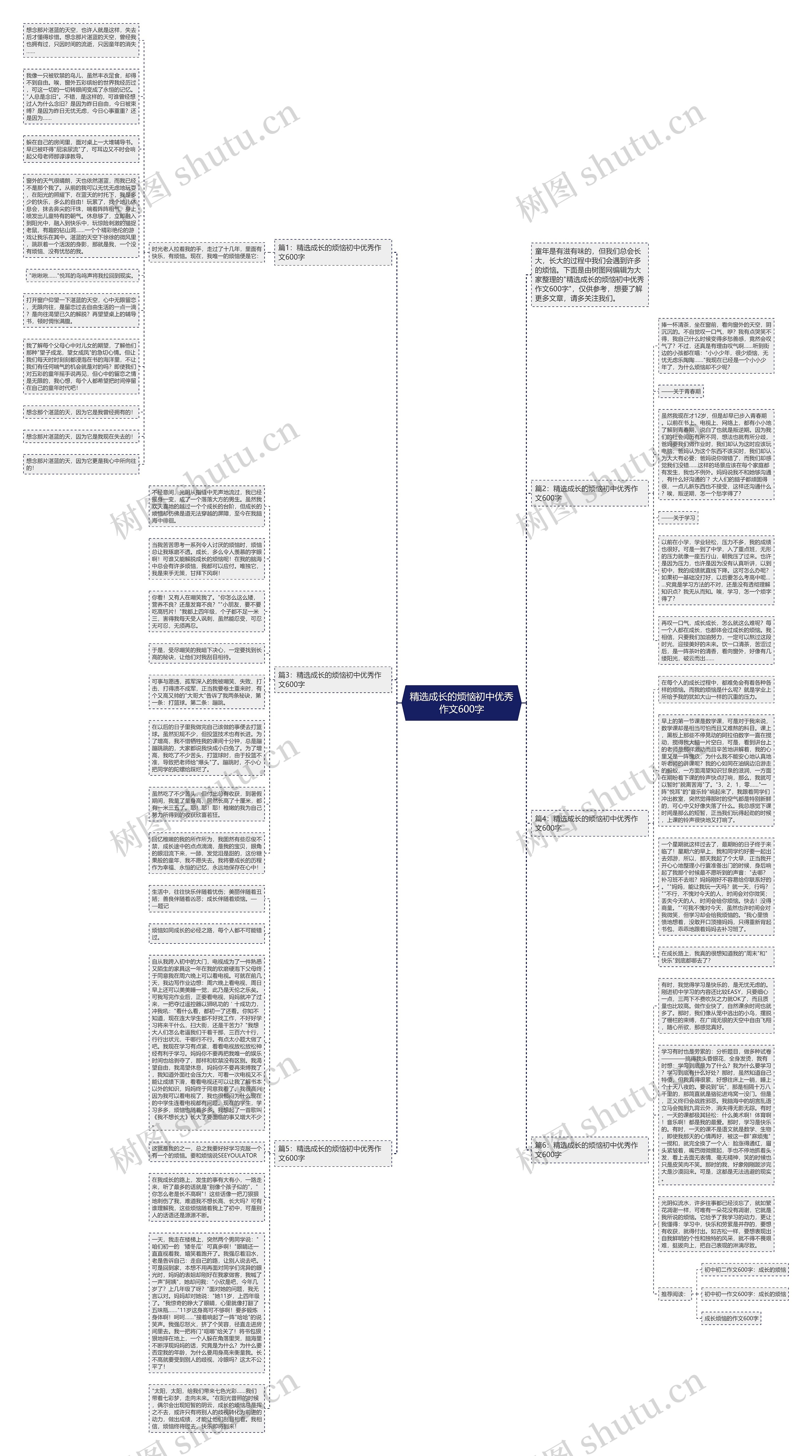 精选成长的烦恼初中优秀作文600字思维导图