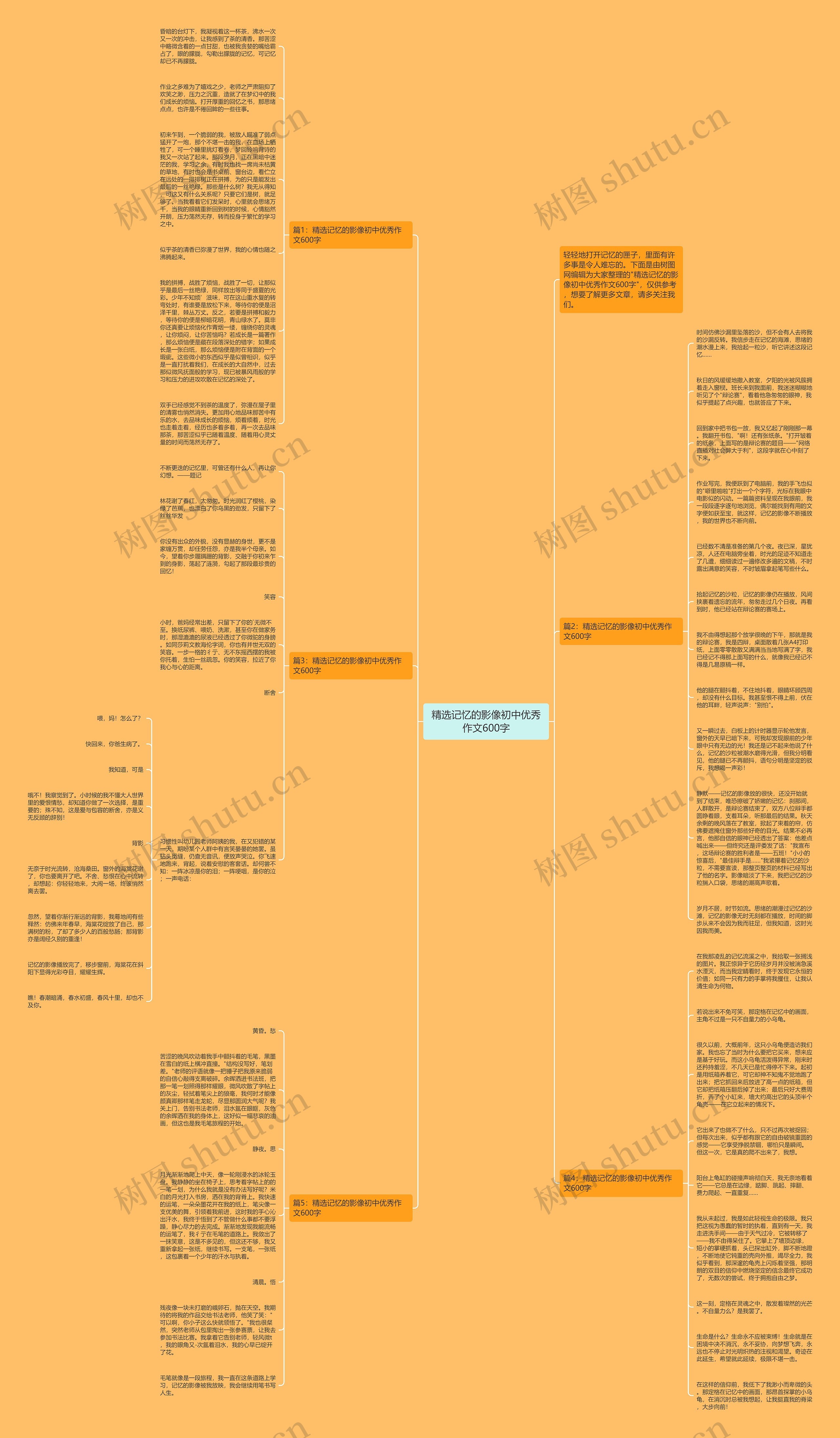 精选记忆的影像初中优秀作文600字思维导图