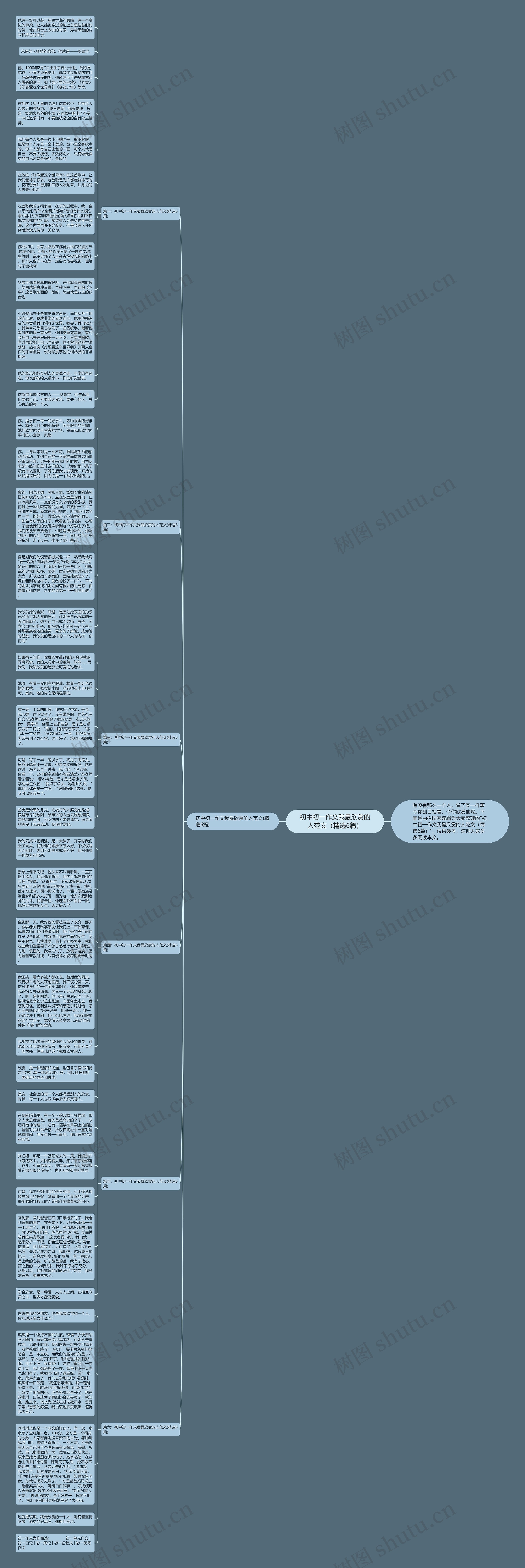 初中初一作文我最欣赏的人范文（精选6篇）思维导图