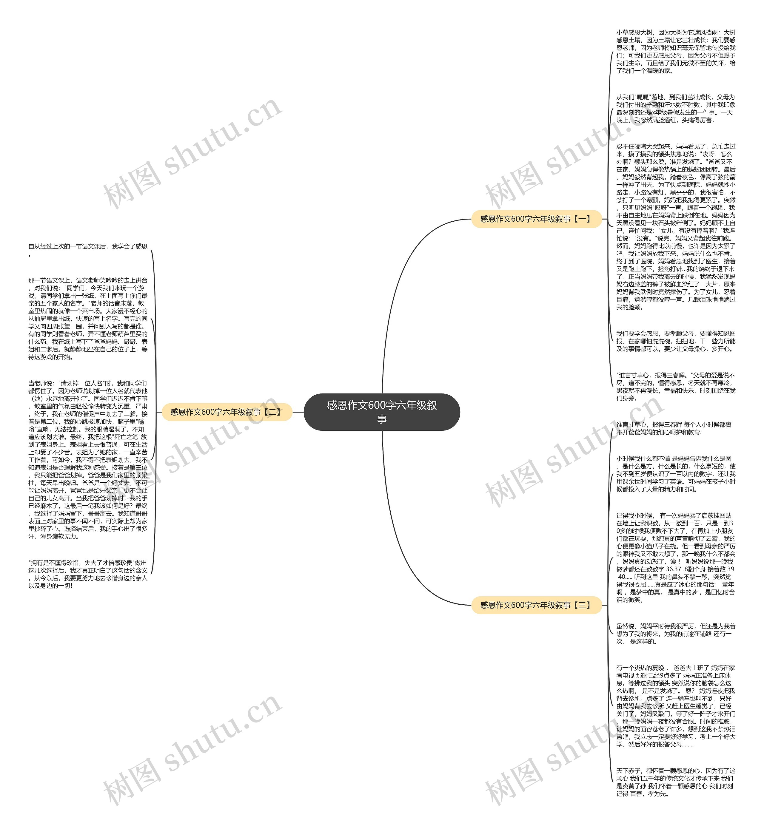 感恩作文600字六年级叙事思维导图
