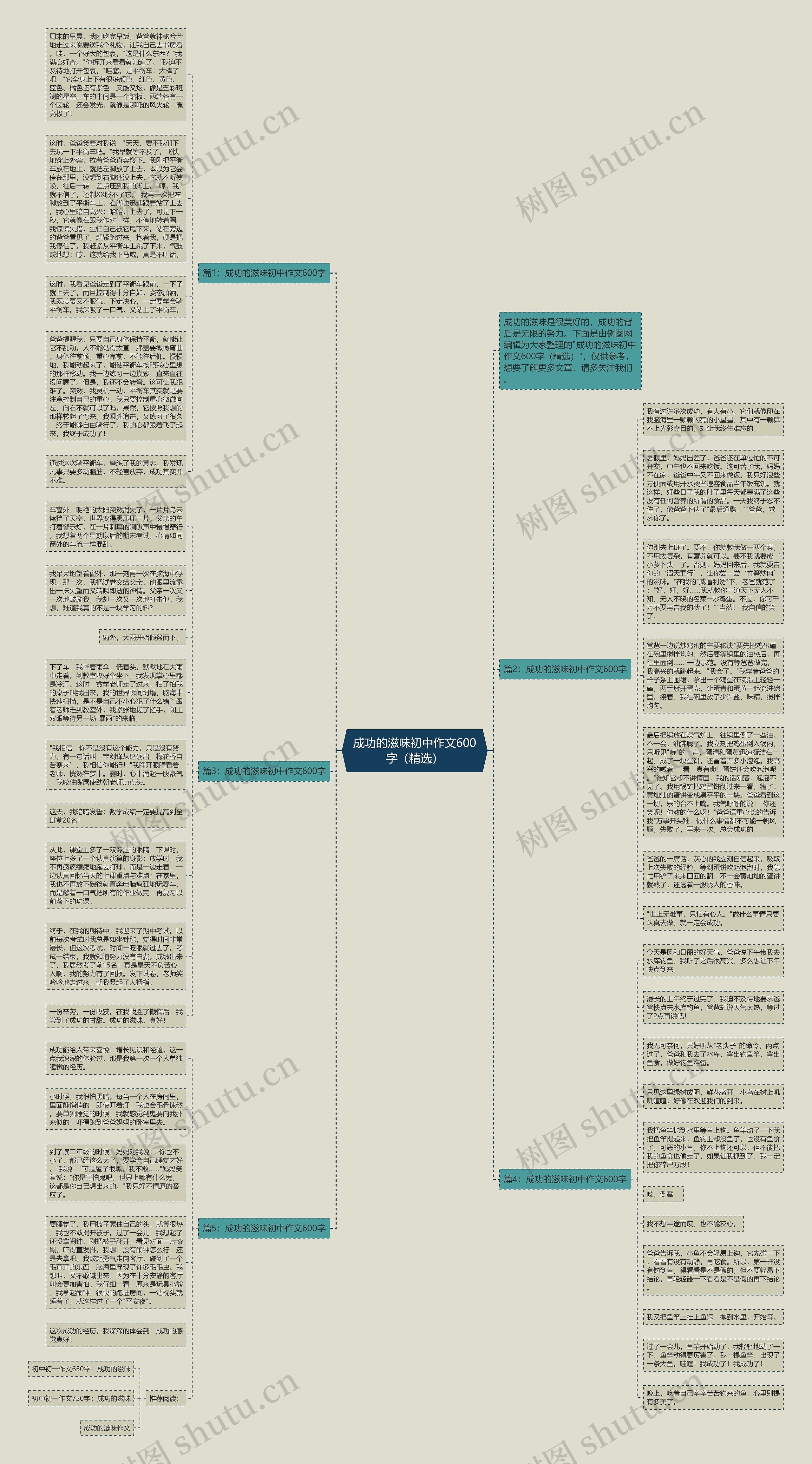 成功的滋味初中作文600字（精选）思维导图