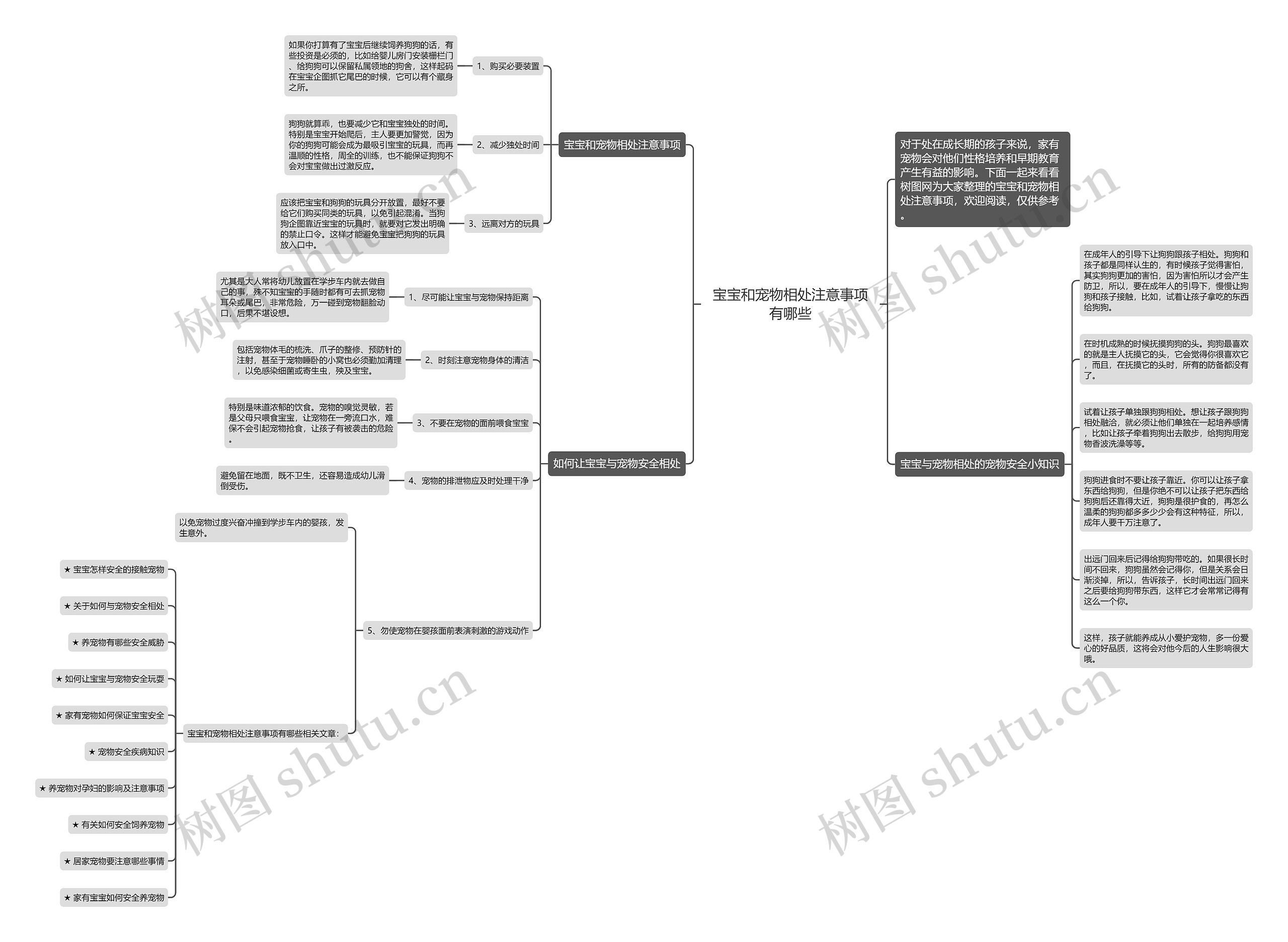 宝宝和宠物相处注意事项有哪些思维导图