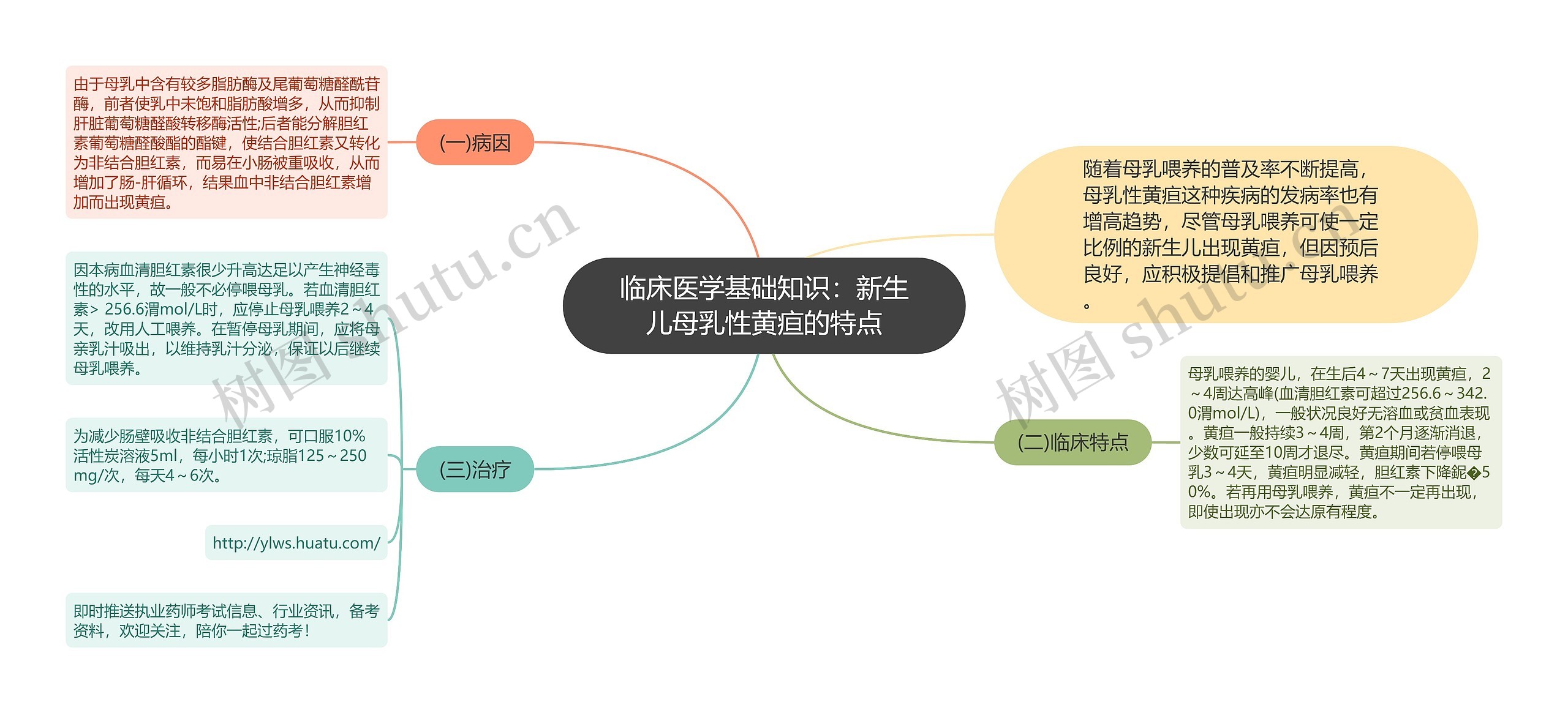 临床医学基础知识：新生儿母乳性黄疸的特点思维导图