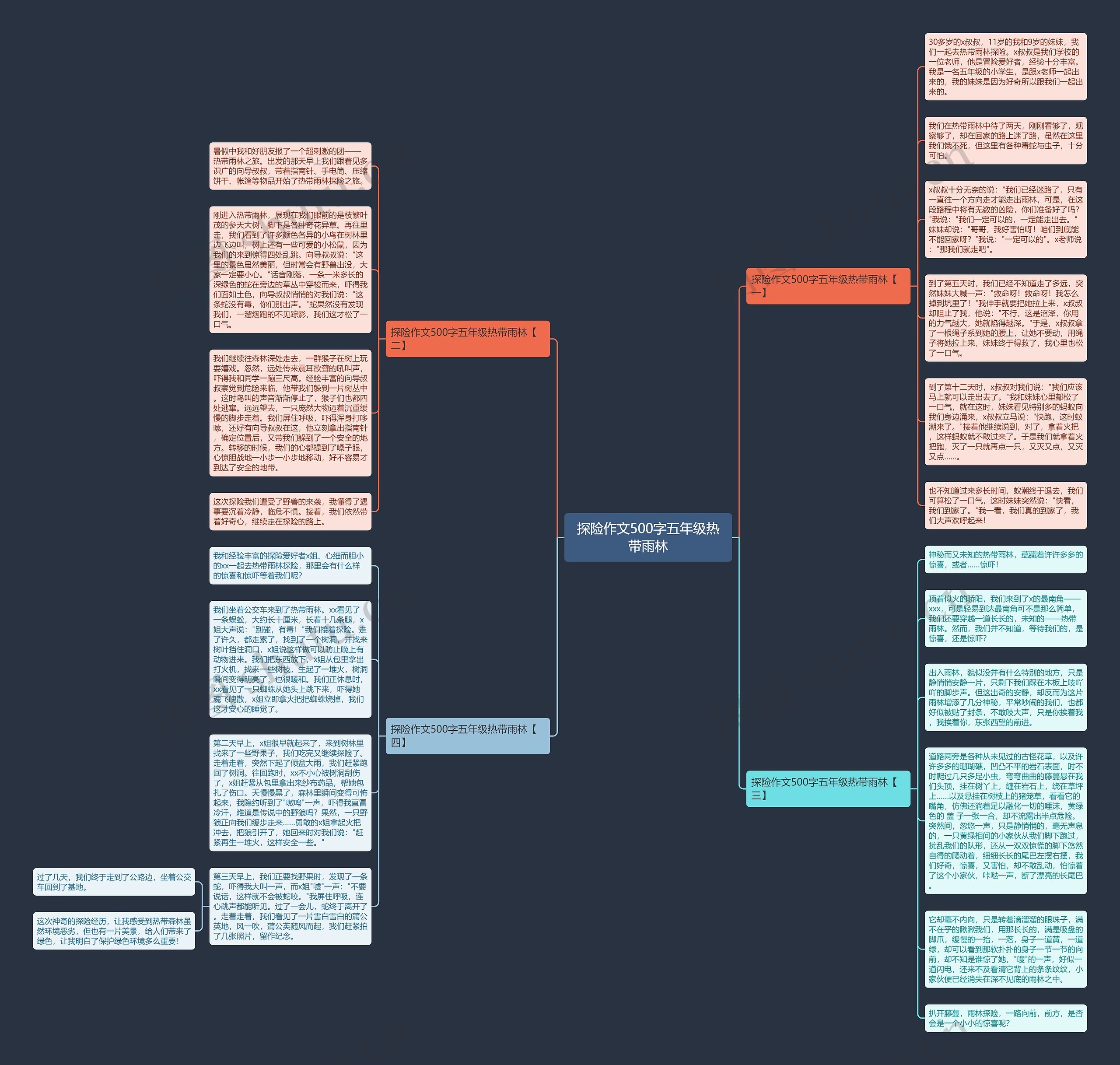 探险作文500字五年级热带雨林思维导图