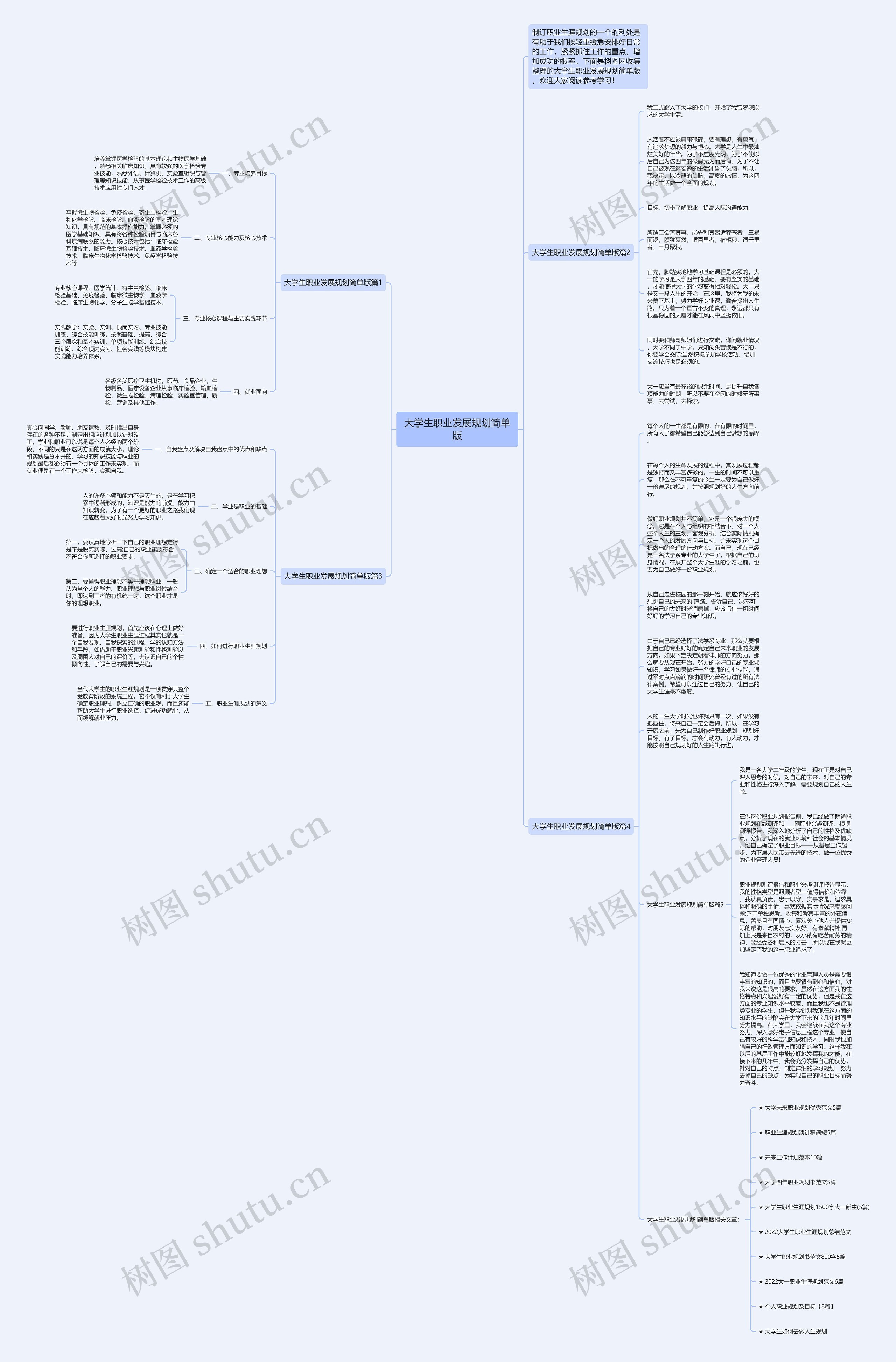 大学生职业发展规划简单版思维导图