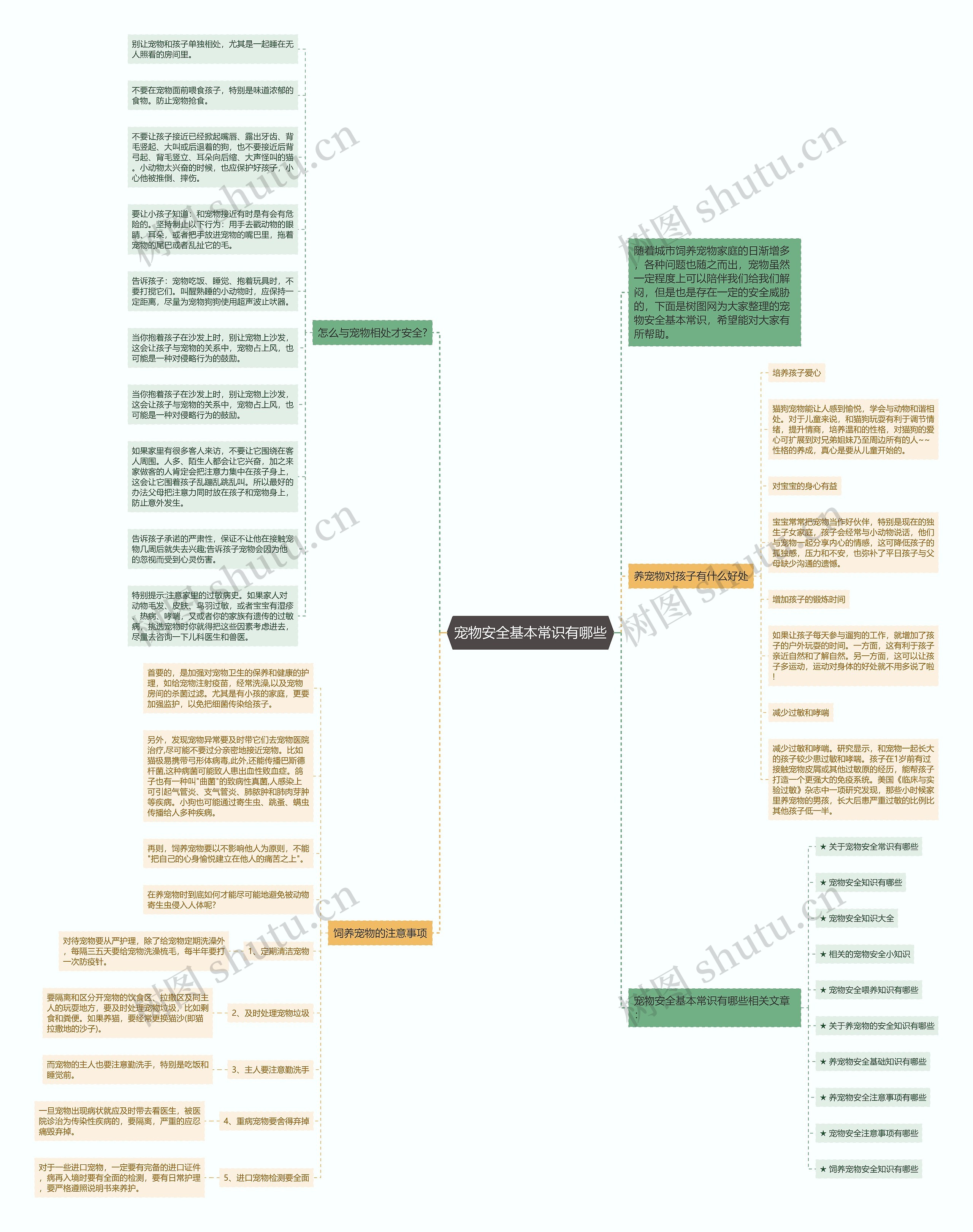 宠物安全基本常识有哪些思维导图