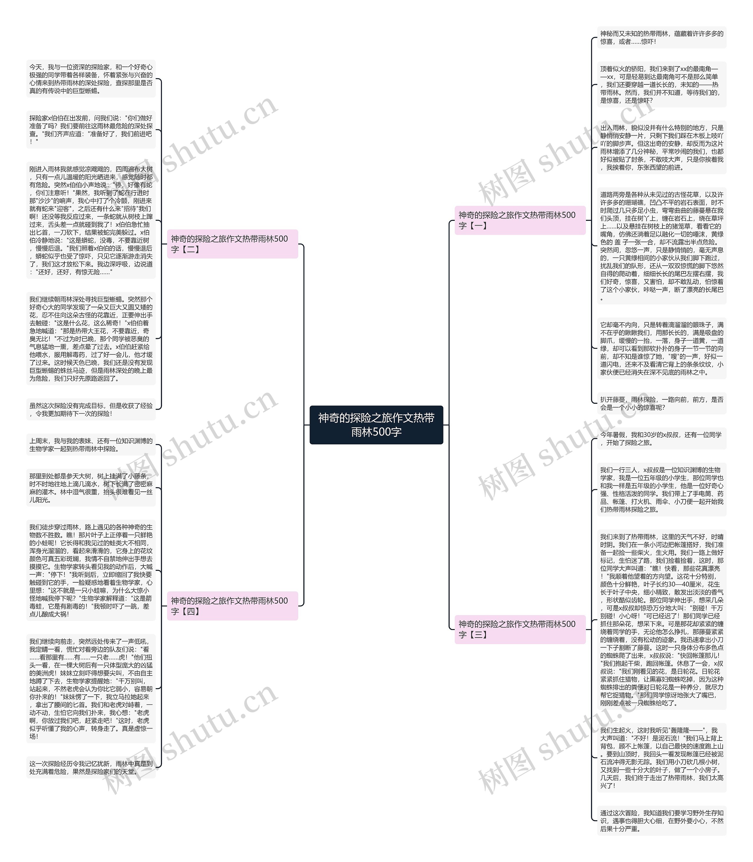 神奇的探险之旅作文热带雨林500字思维导图