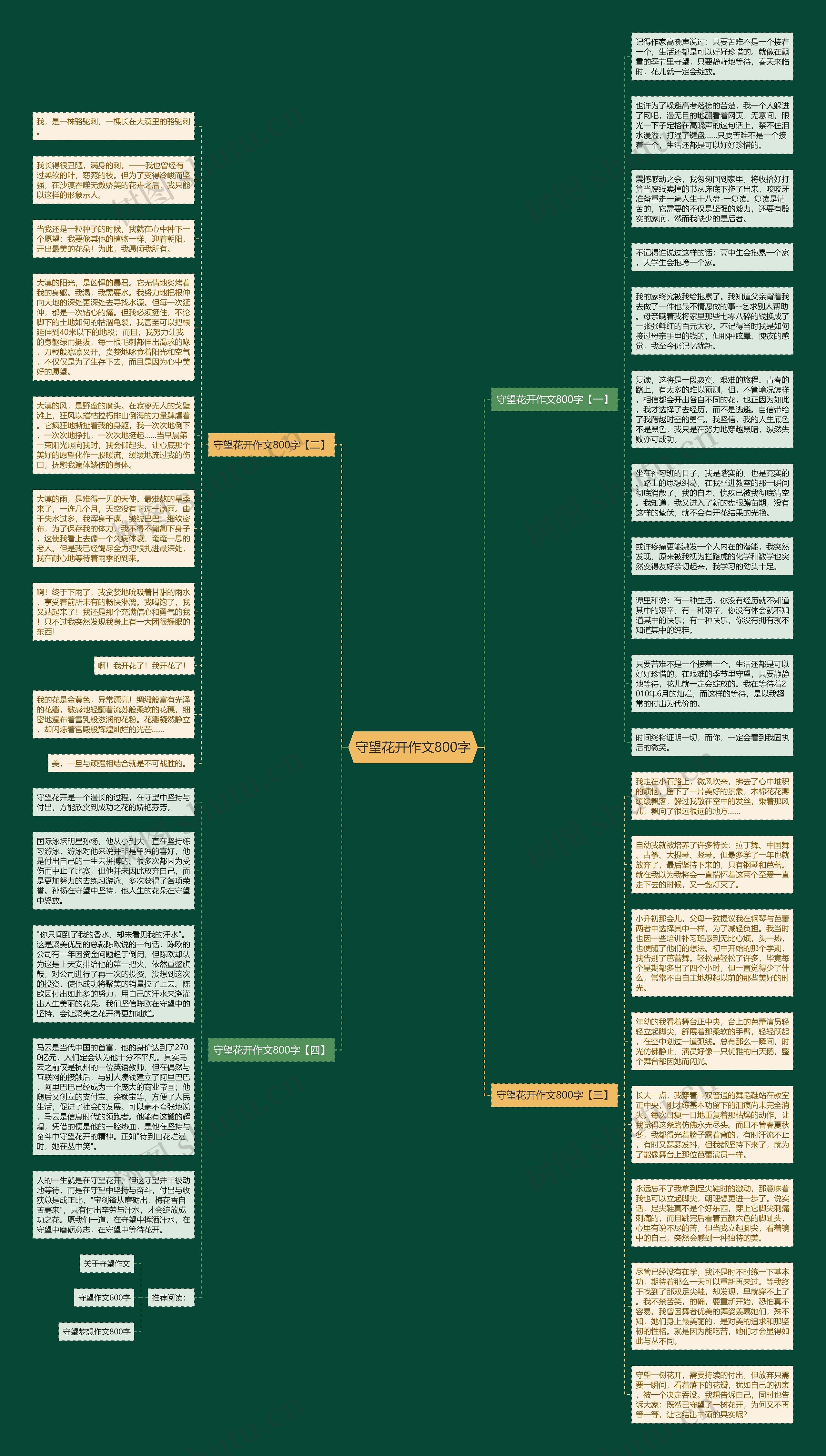 守望花开作文800字思维导图