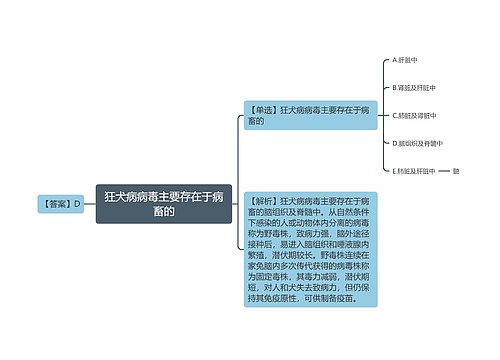 狂犬病病毒主要存在于病畜的思维导图