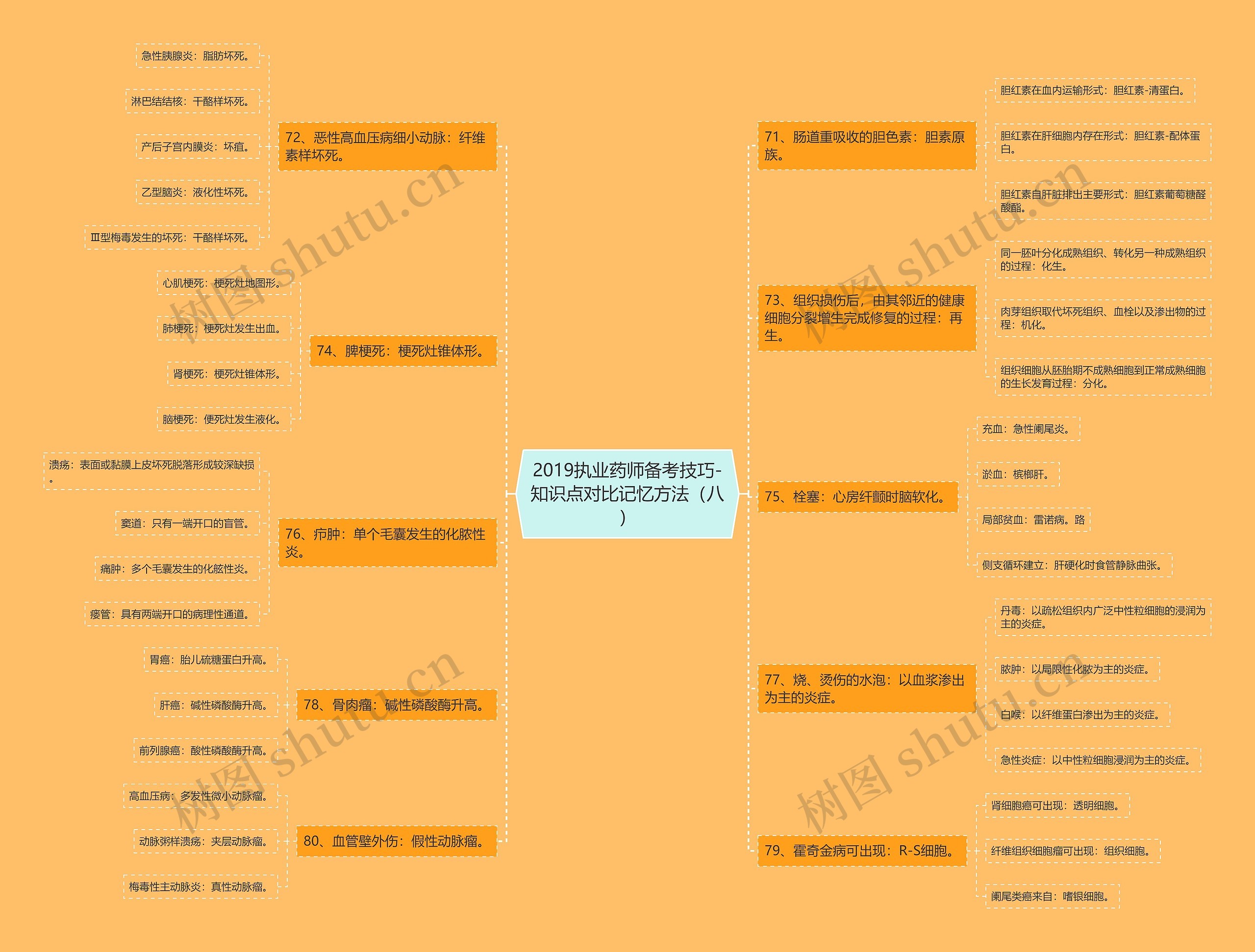 2019执业药师备考技巧-知识点对比记忆方法（八）思维导图
