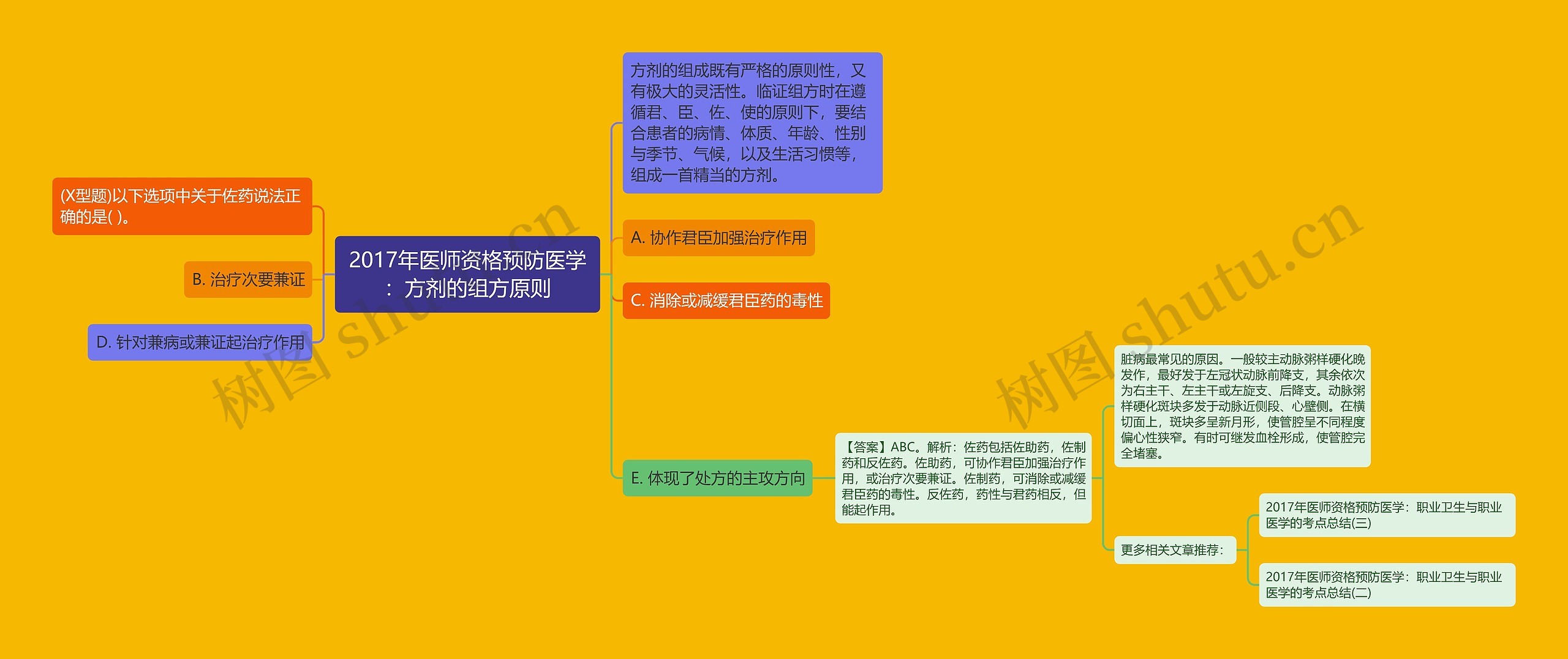 2017年医师资格预防医学：方剂的组方原则思维导图