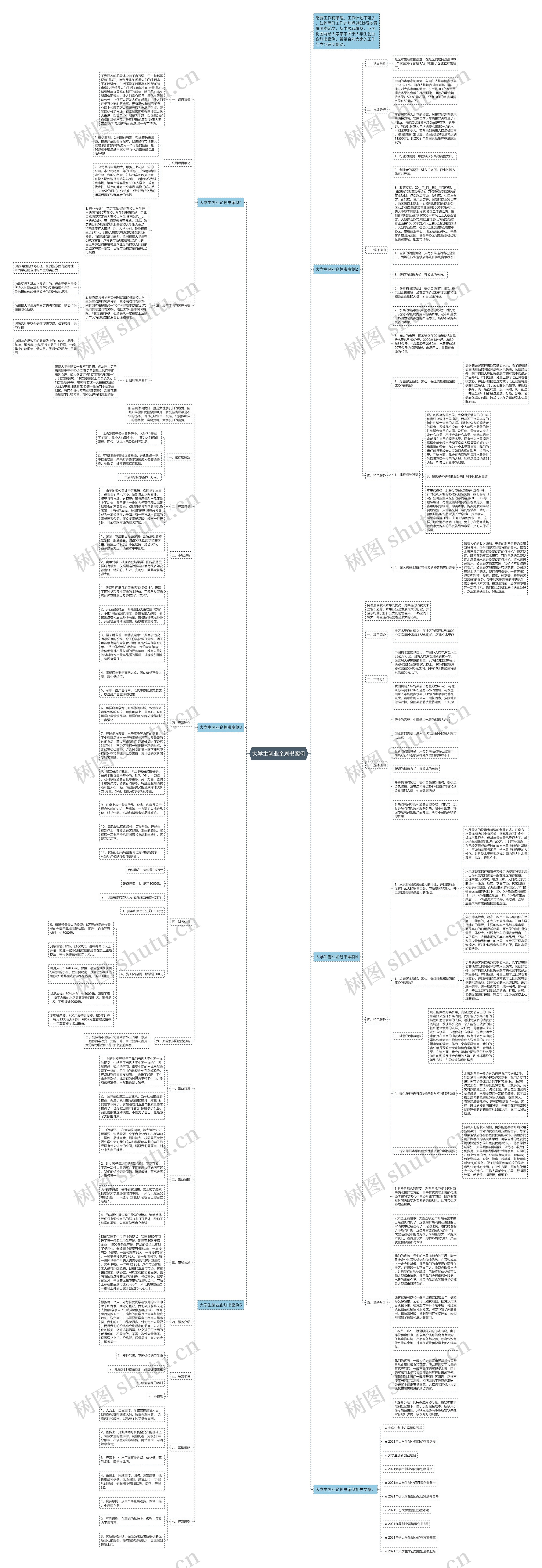 大学生创业企划书案例思维导图