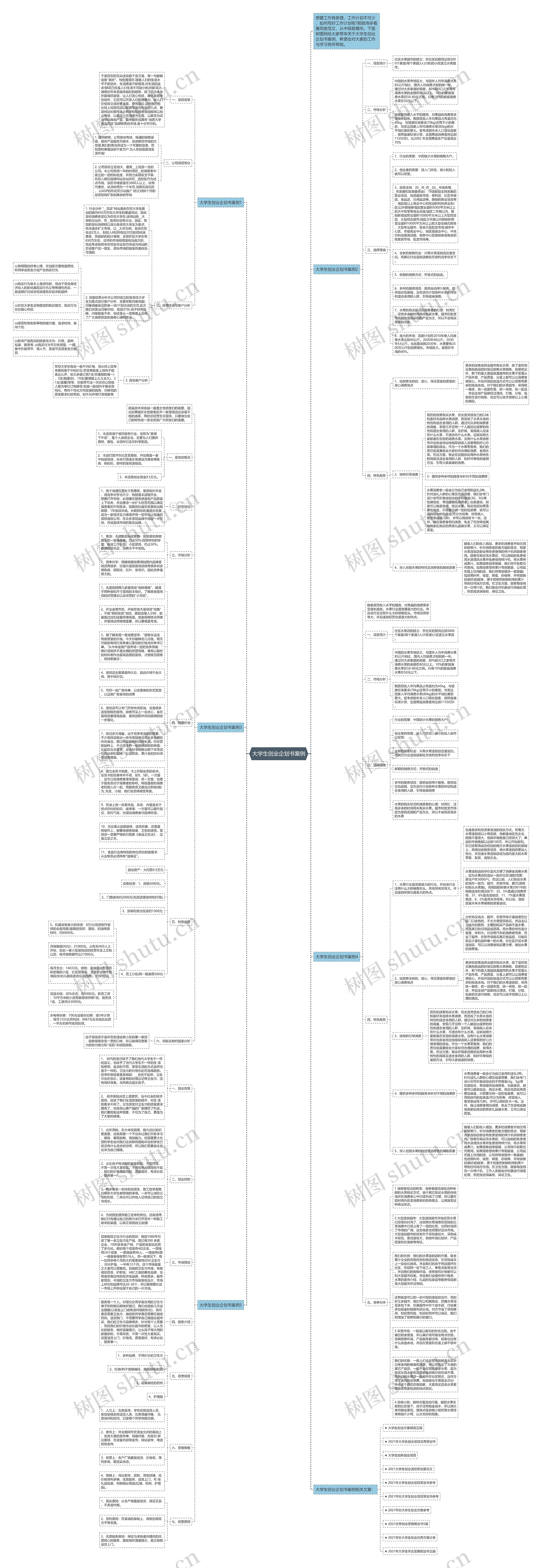 大学生创业企划书案例思维导图高清图 大学生创业企划书案例思维导图