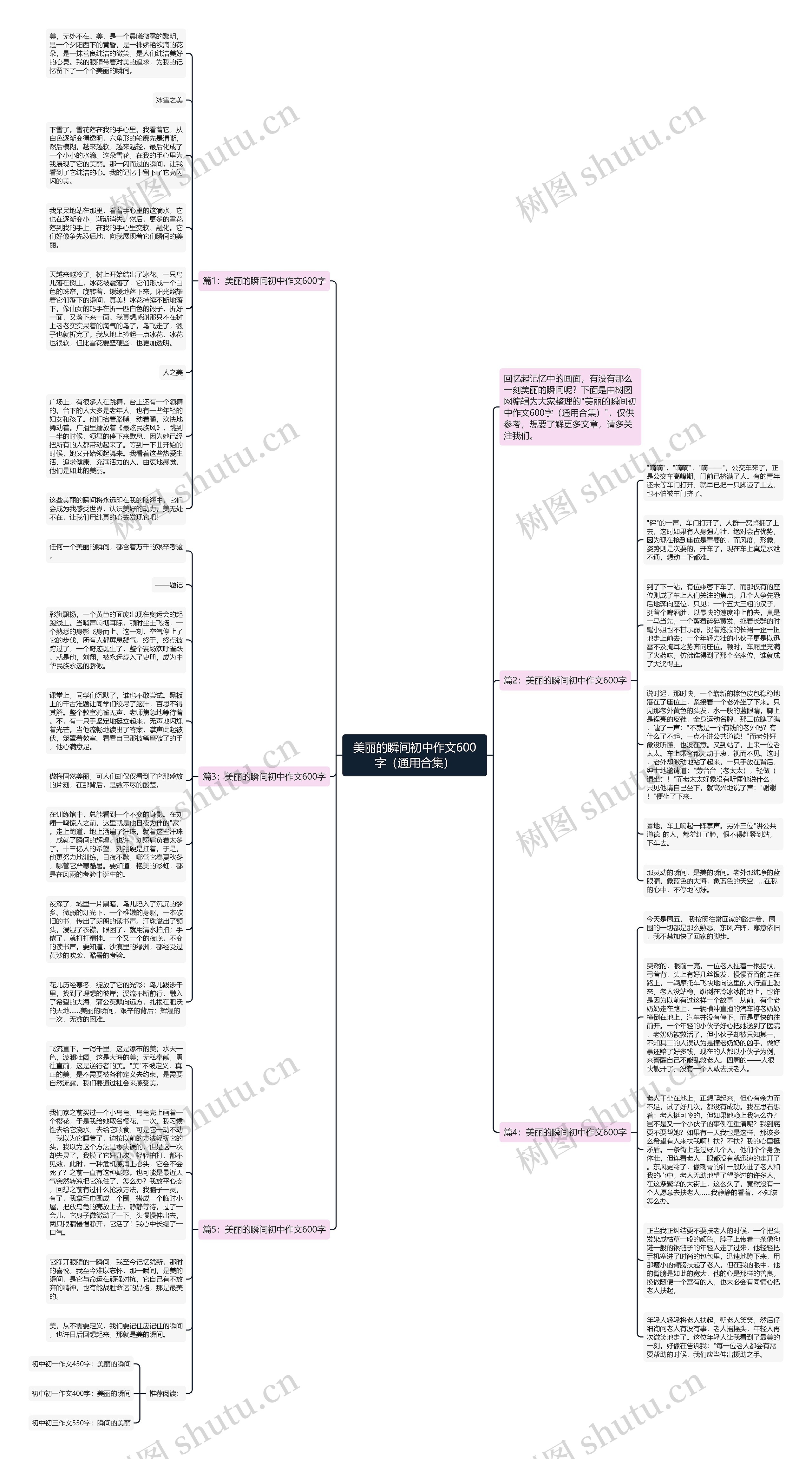美丽的瞬间初中作文600字（通用合集）思维导图