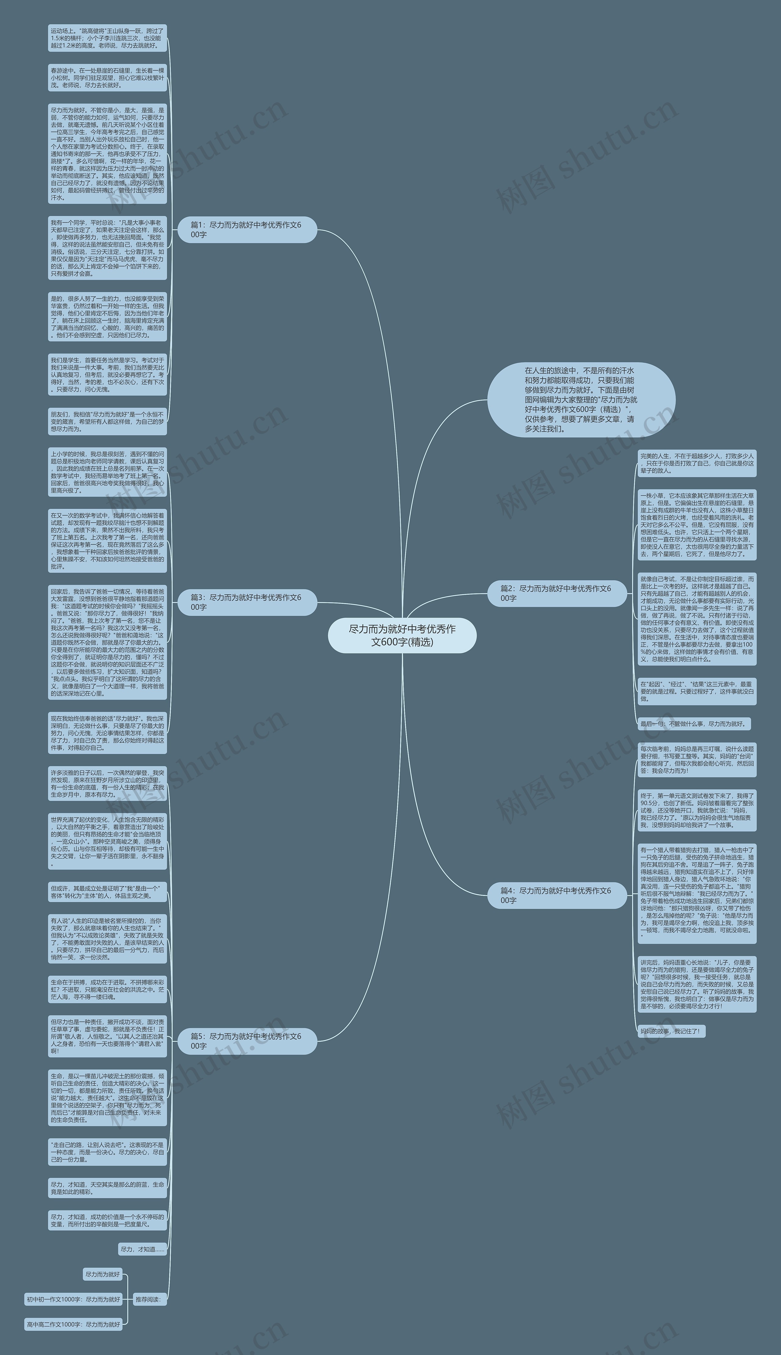 尽力而为就好中考优秀作文600字(精选)思维导图高清图 尽力而为就好中考优秀作文600字(精选)思维导图
