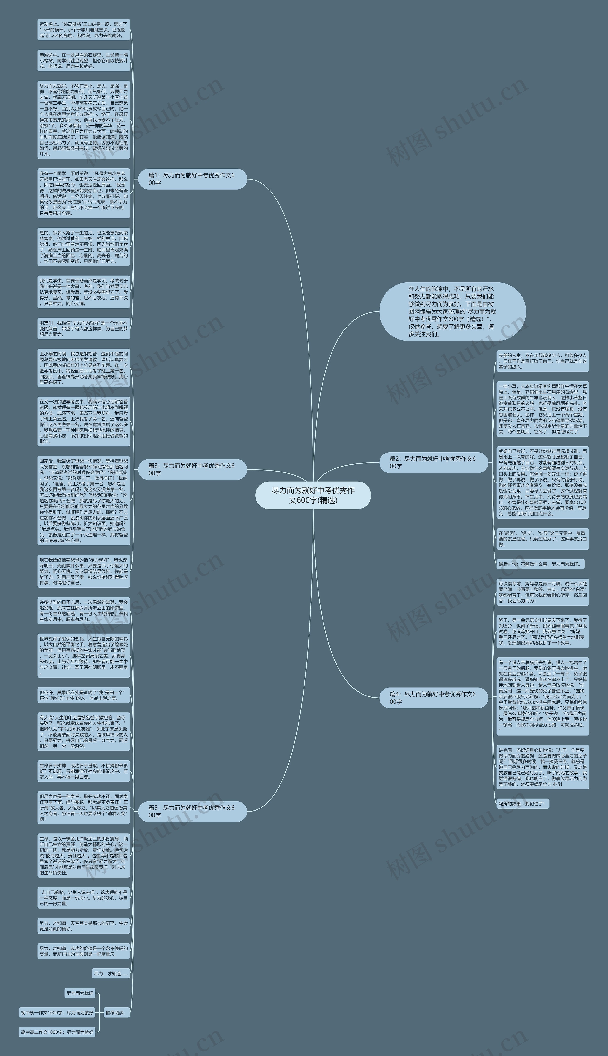 尽力而为就好中考优秀作文600字(精选)思维导图