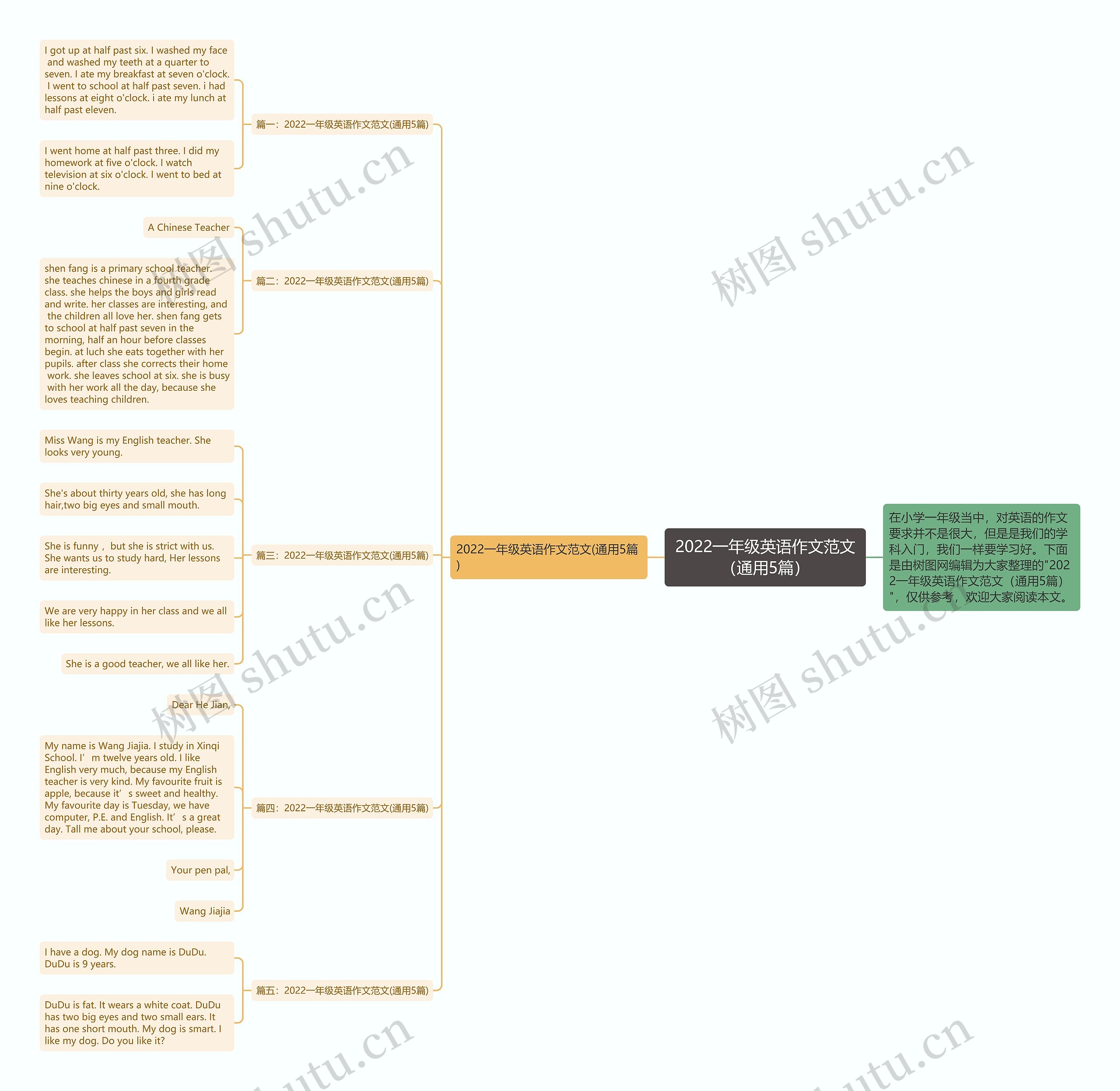 2022一年级英语作文范文（通用5篇）思维导图