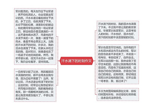 汗水滴下的时刻作文