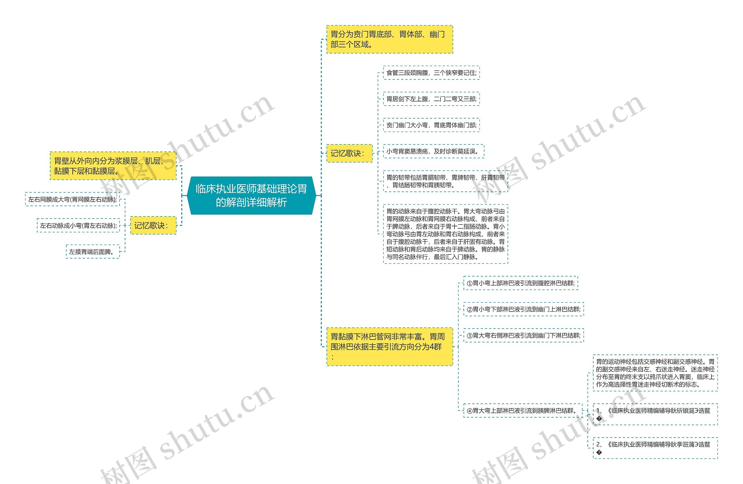 临床执业医师基础理论胃的解剖详细解析